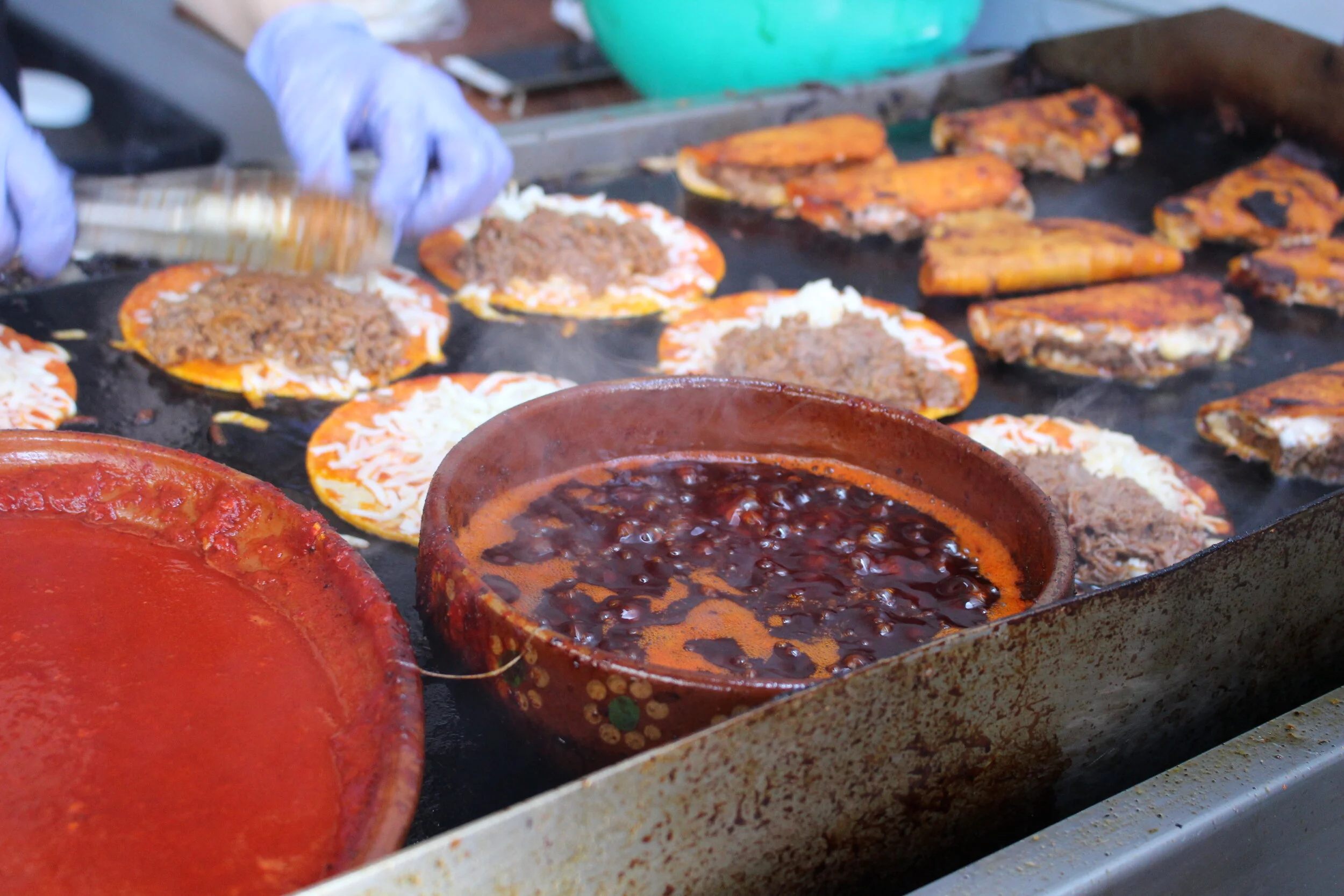 Birria Taco Hero El Garage Stars in California Eating Issue 4