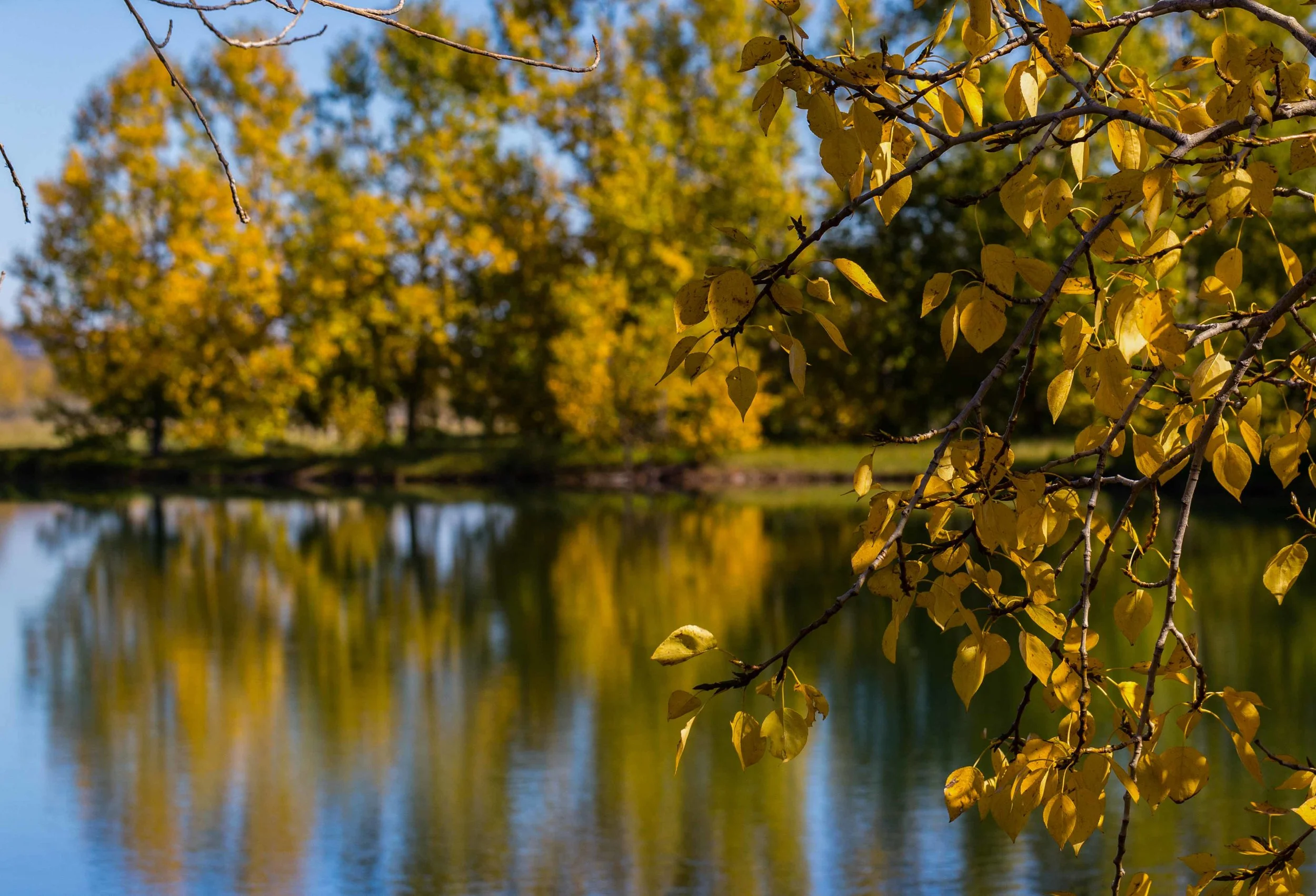 Fall Colour Clearwater Lake-2027-2.jpg