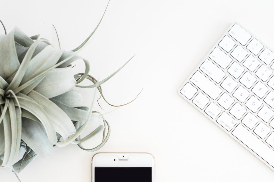 stock images for social media