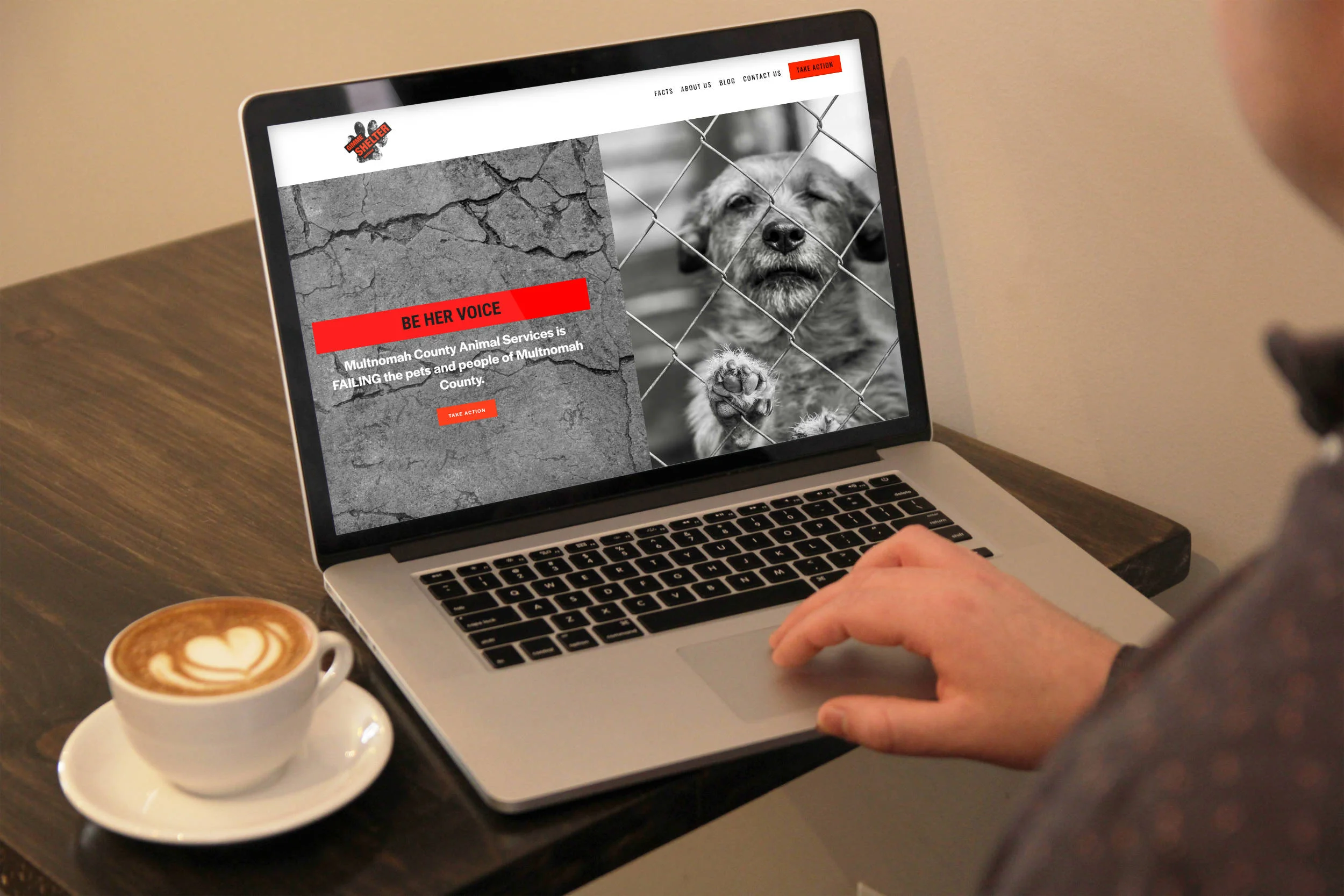 Gimme Shelter - This Design in a Day™ project is a nimble website for a campaign to improve conditions for shelter animals. The homepage tells the story, while the other pages funnel visits to take action. The blog is an ongoing educational and resource project ensuring the site is a living entity.