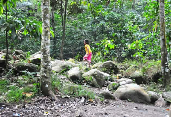 Indigenous communities that live in traditional forests likes these on the Indonesian island of Lombok are not consulted when such lands are handed over to commercial entities. Credit: Amantha Perera/IPS