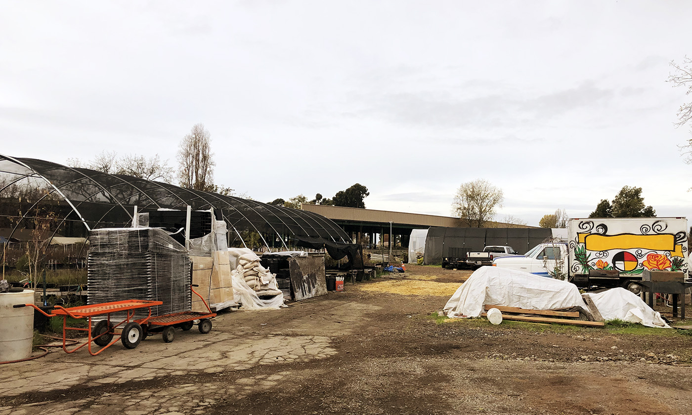 Owned by the nonprofit Planting Justice, the east Oakland plant nursery is planned to be transferred to the Sogorea Te Land Trust once the mortgage is paid in full. Photo by Deonna Anderson