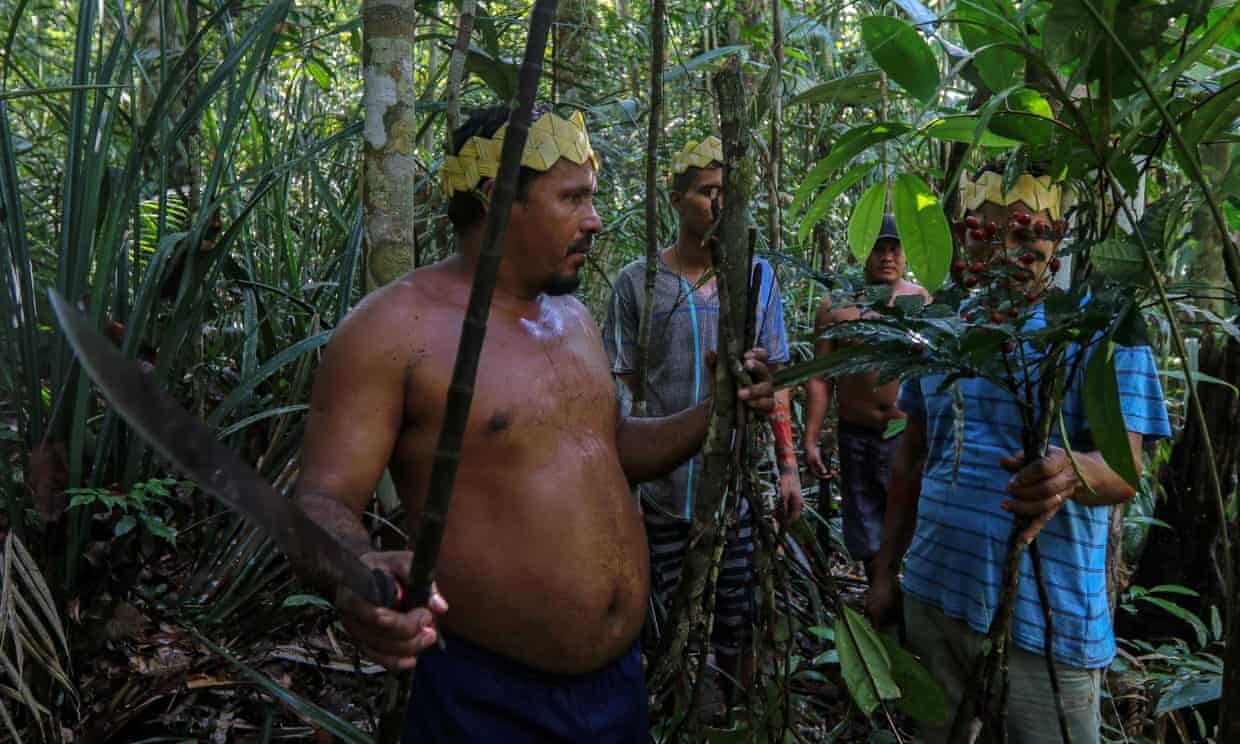 Sateré-Mawé men collect medicinal herbs to treat people showing Covid symptoms, in a rural area west of Manaus, Brazil. Photograph: Ricardo Oliveira/AFP/Getty Images
