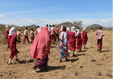 Multi-generational field activities