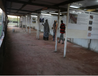 Exhibit on cultural ecology 