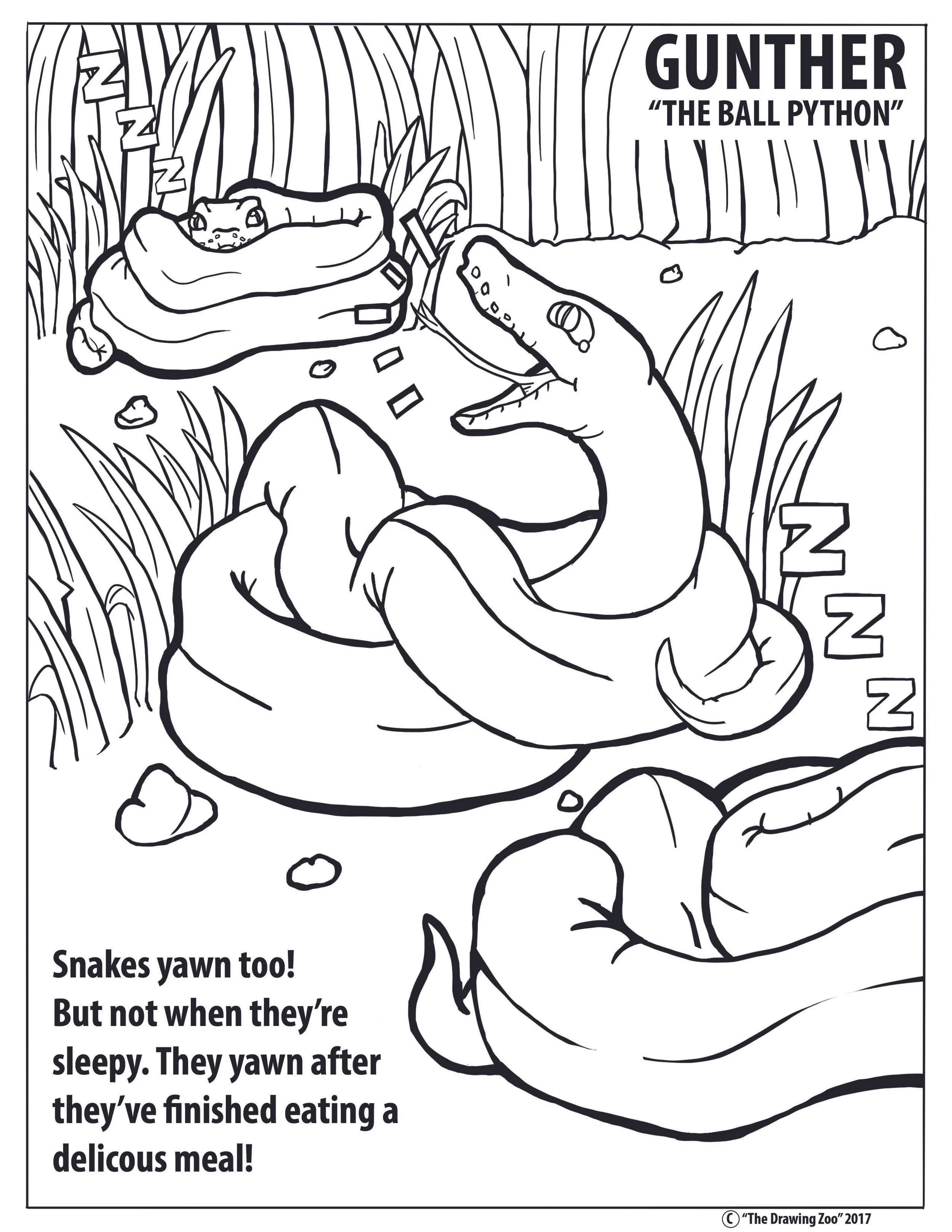 color1.jpg