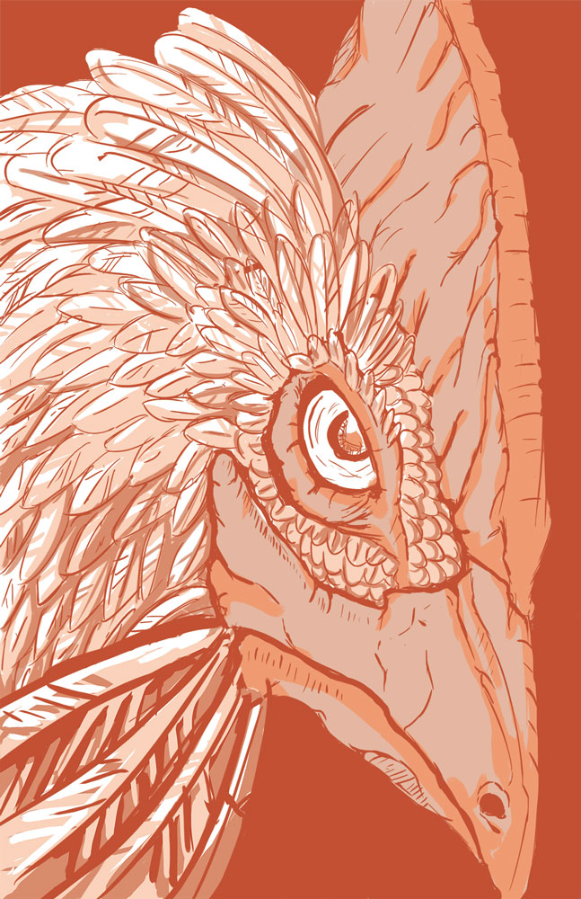 ornathrus3.jpg