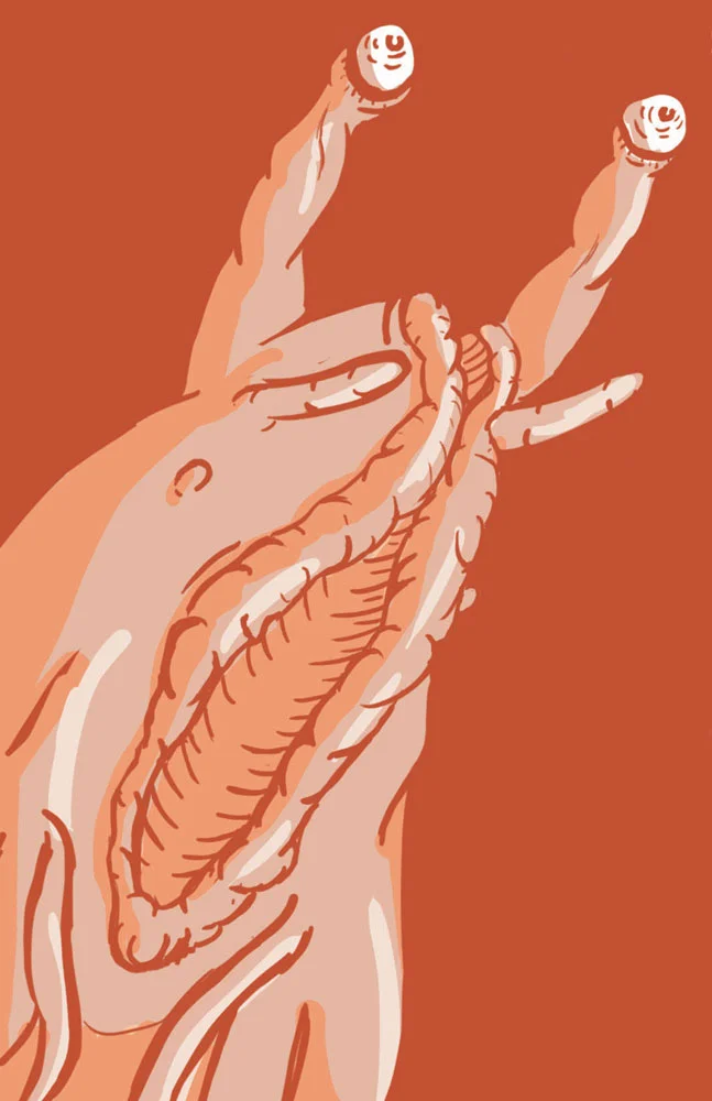 snailclose.jpg
