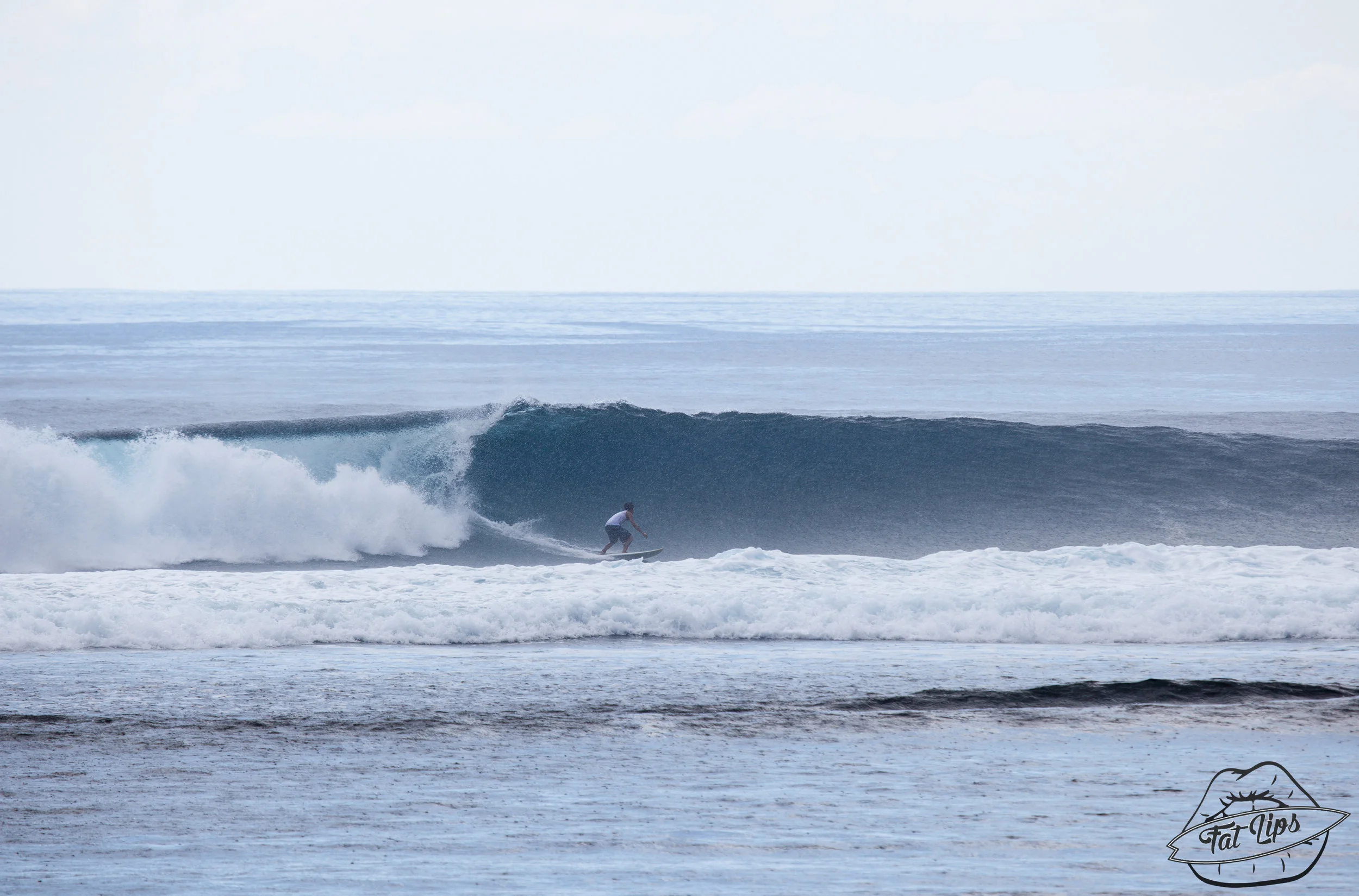 Pacifico