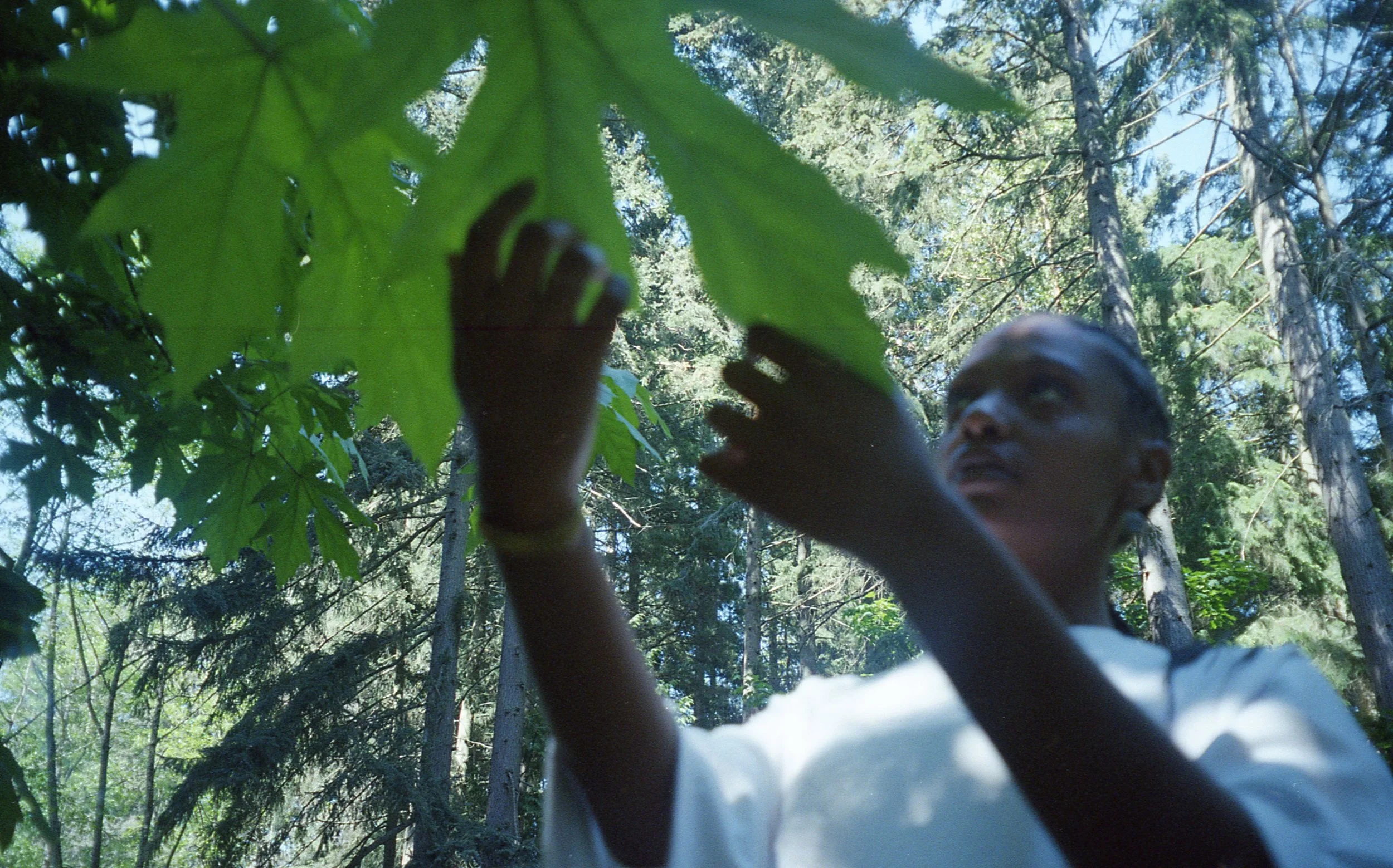 mereba026.jpg