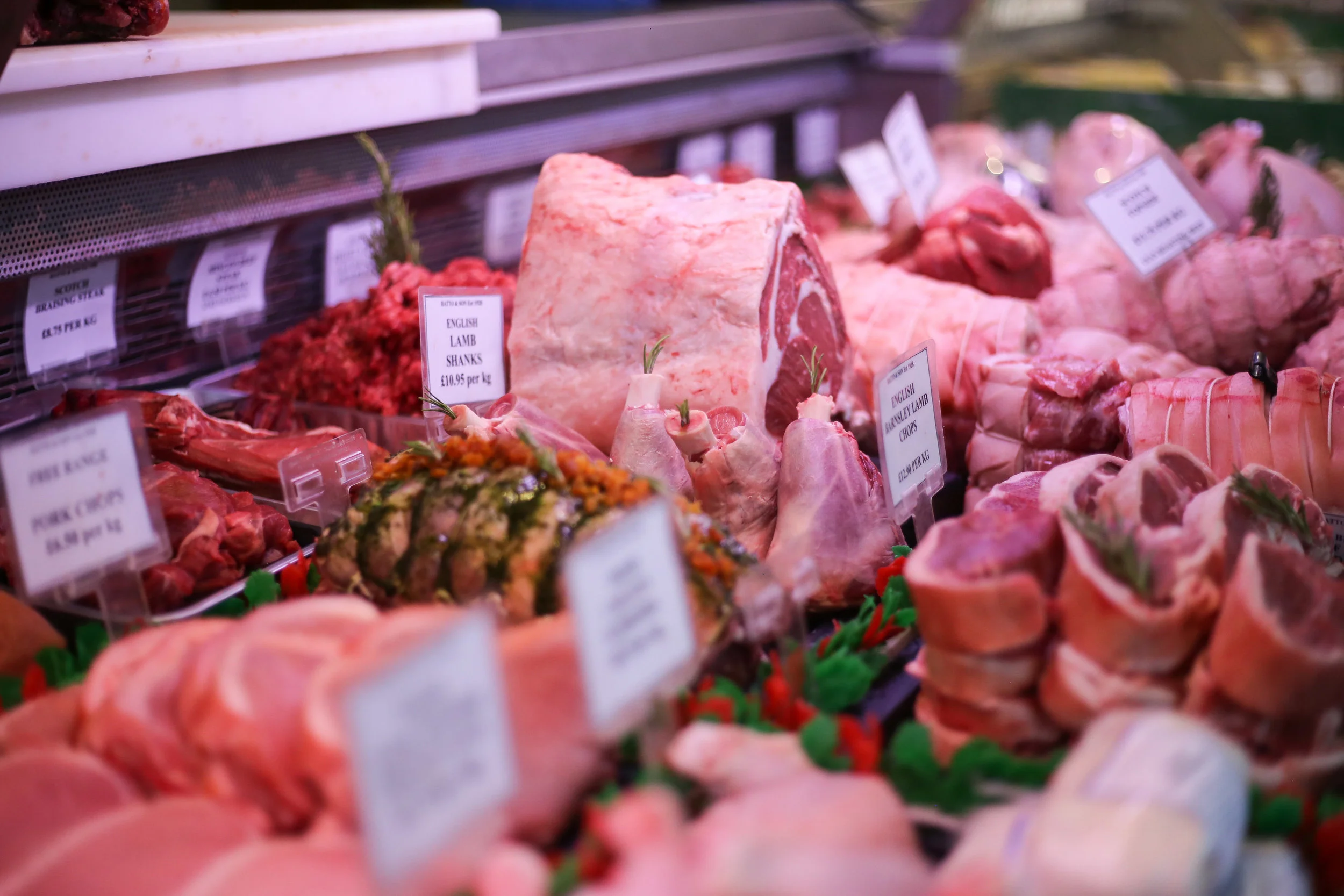 IMG_2531.jpg