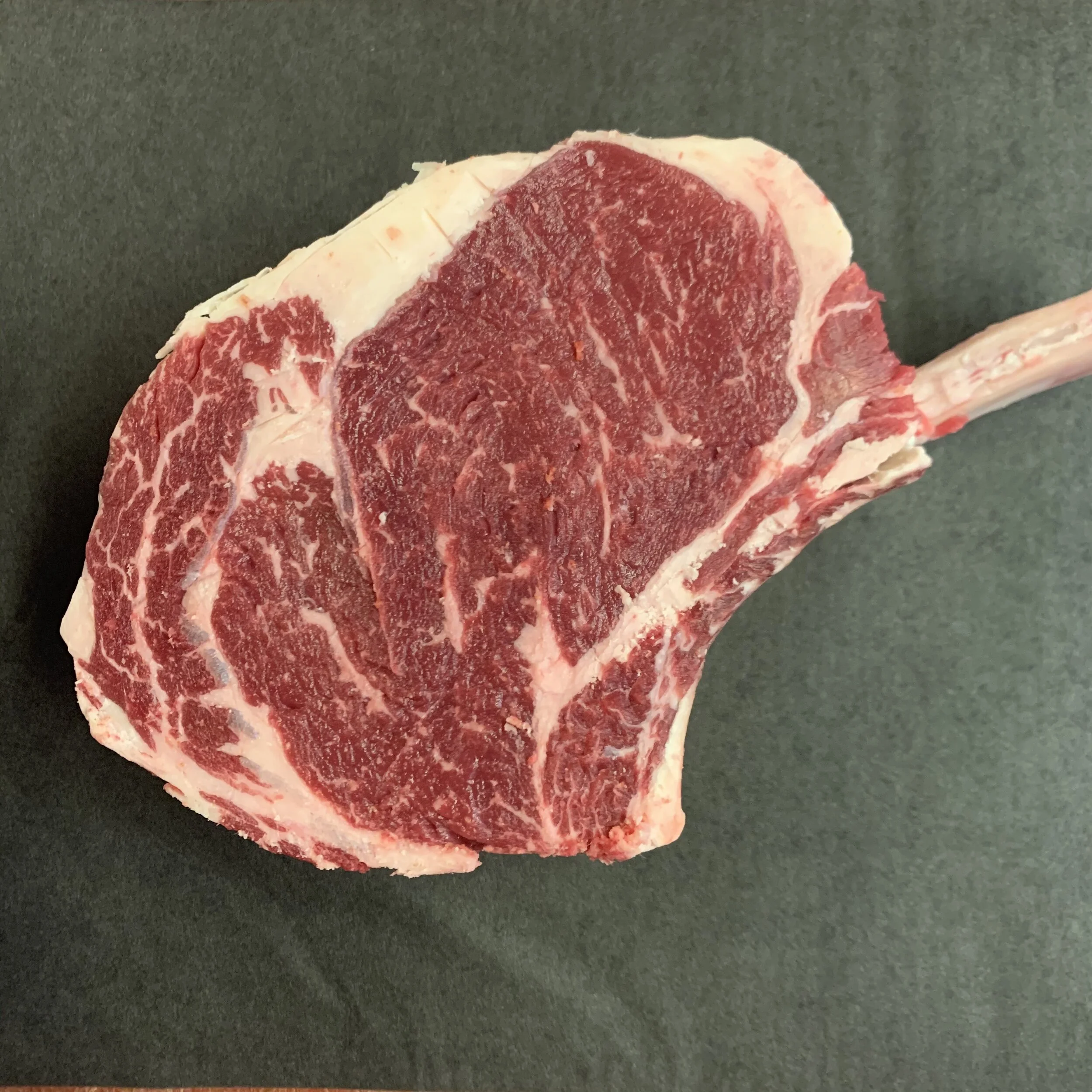 CAA06496-259C-46F0-84D5-B878C048357C