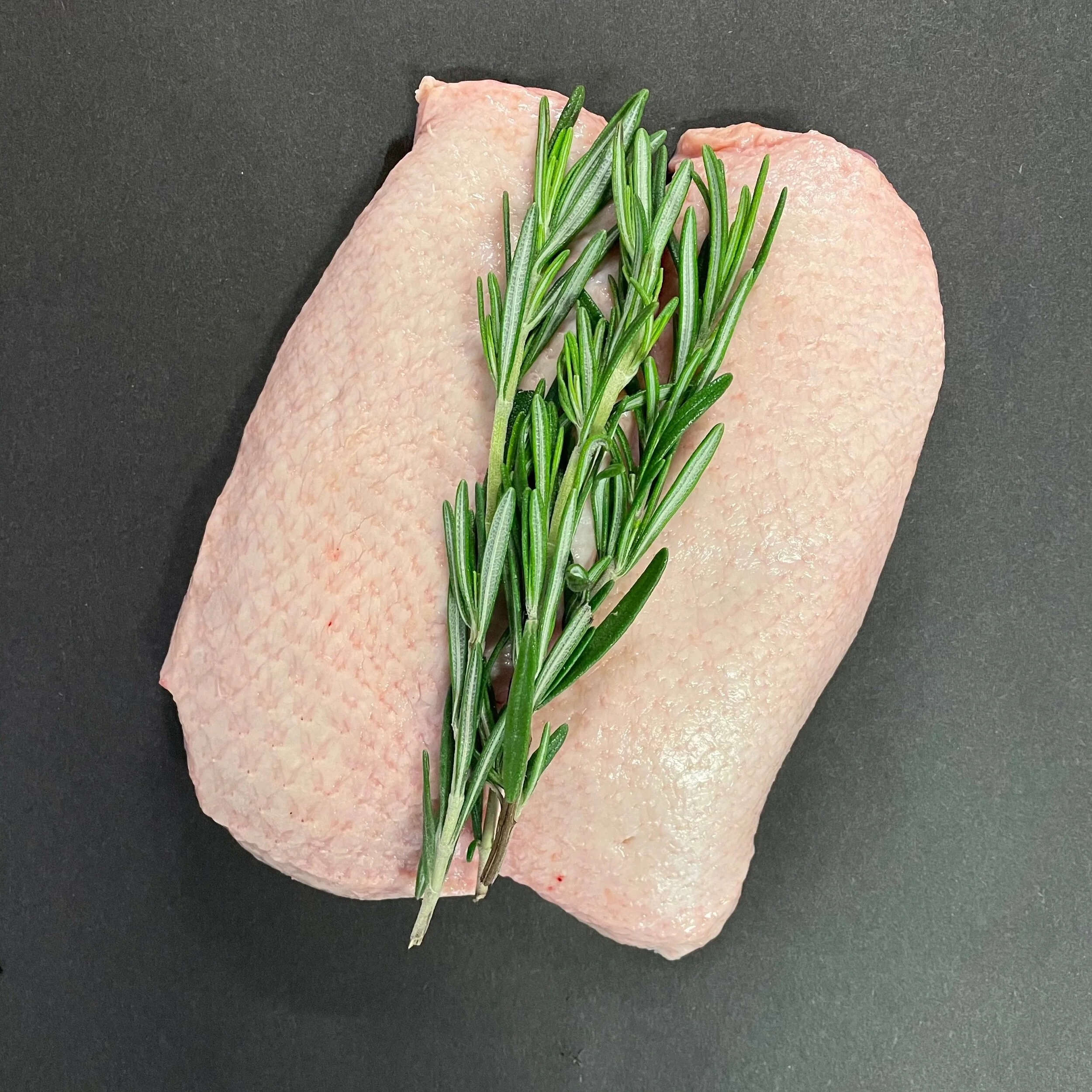 80873C55-3566-4866-8EF7-BF068A98F0F9