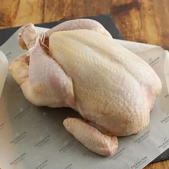 FF084F77-70D1-444A-A8C3-68ABB0AB9FFF