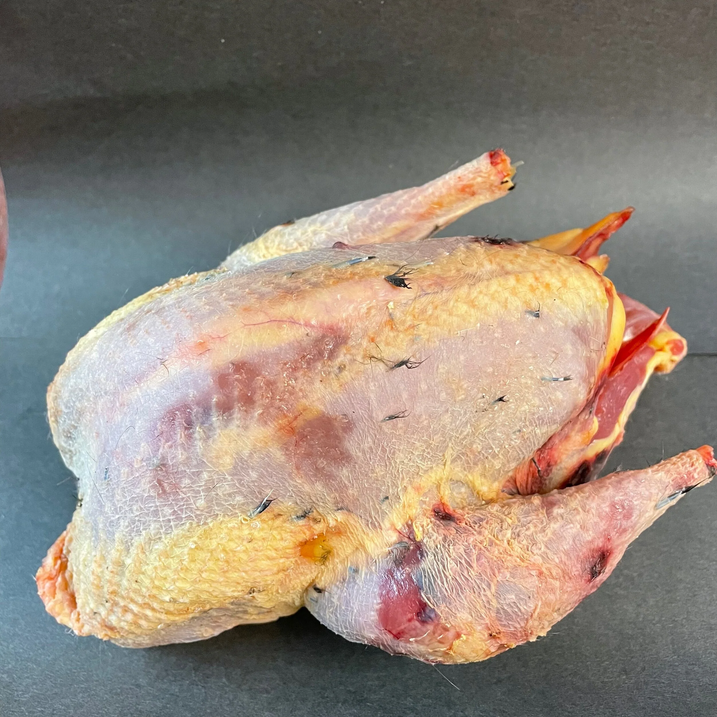 EB626739-5EB0-4043-96D5-F07AC6EB4026