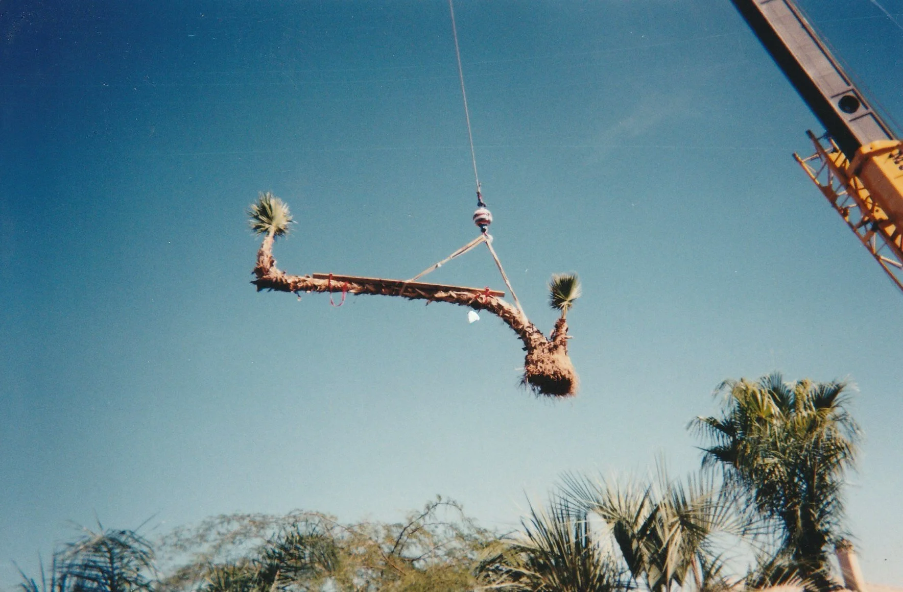 a.jpg