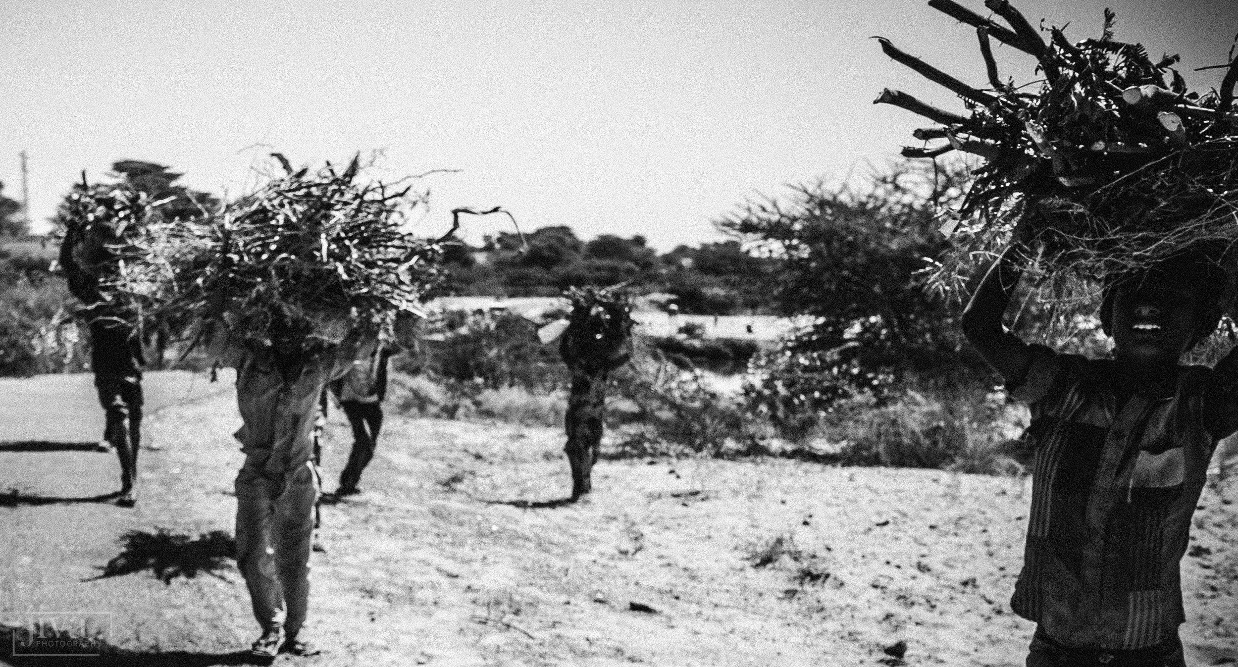 2015_india_ (1 of 1)-518.jpg