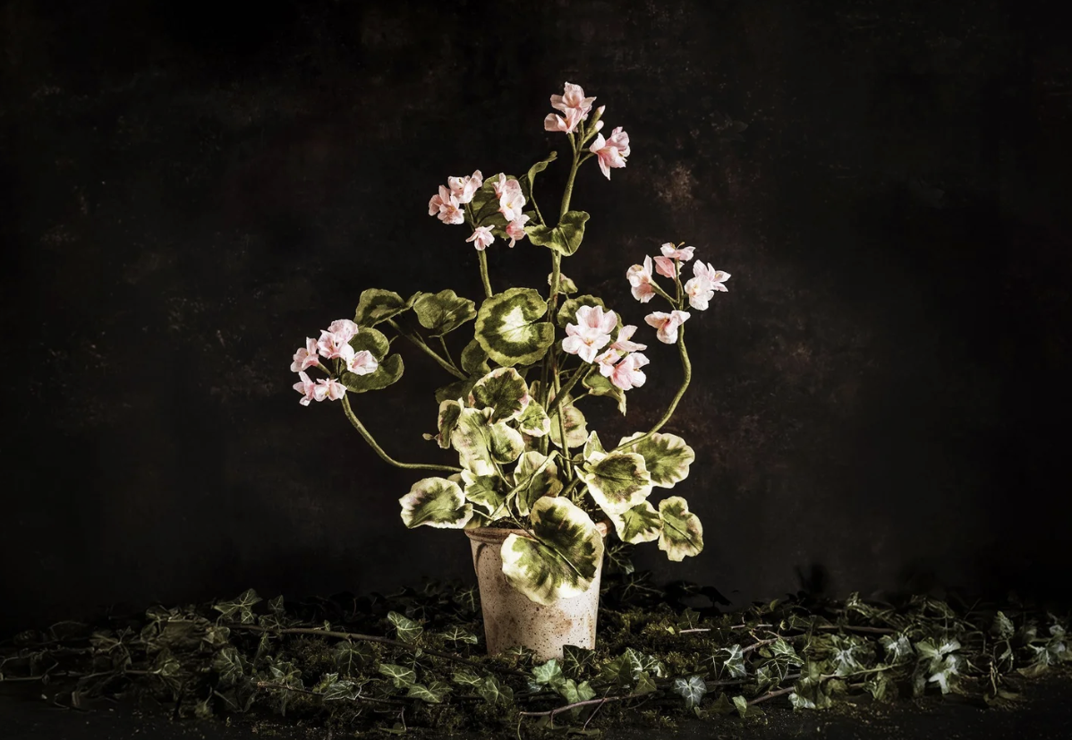 Screenshot 2025-12-16 at 16.54.30.png