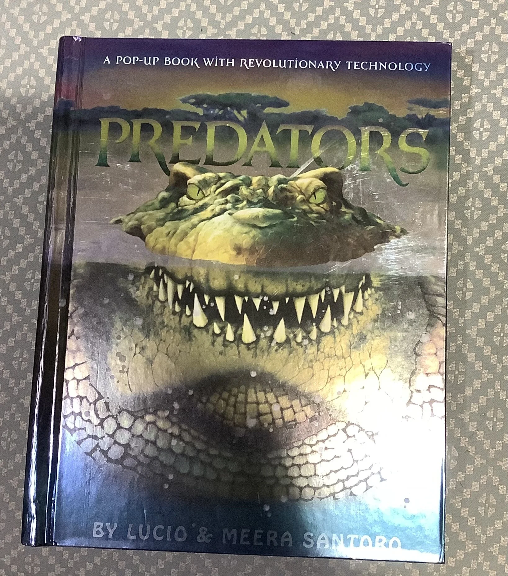 001D290C-3290-4DFF-A002-6B89E68A7762