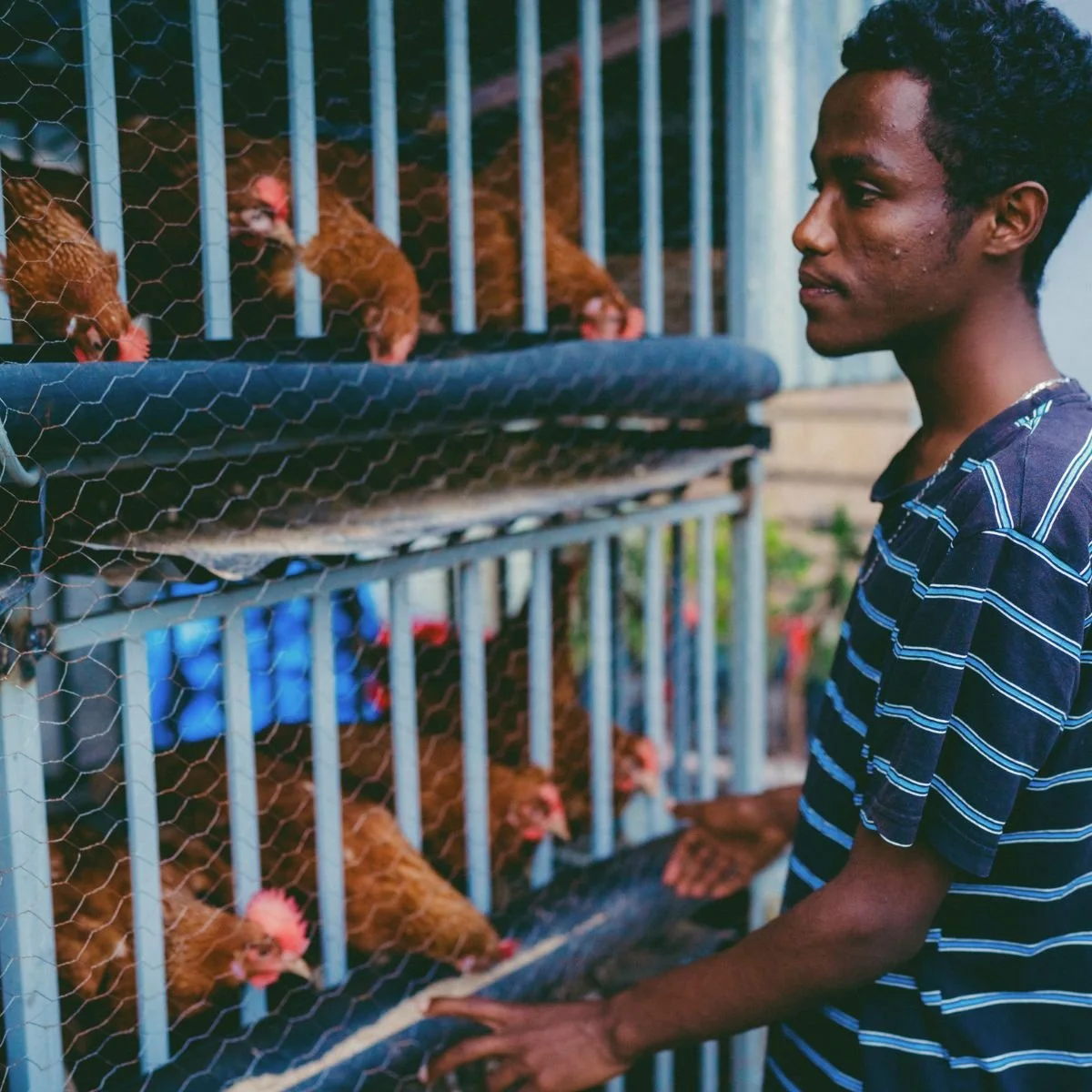 Income Generation Opportunities