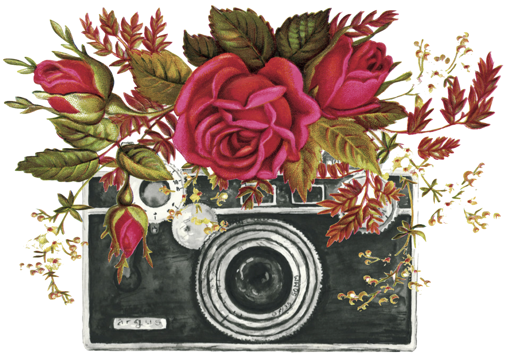 camera flower designs transp.png