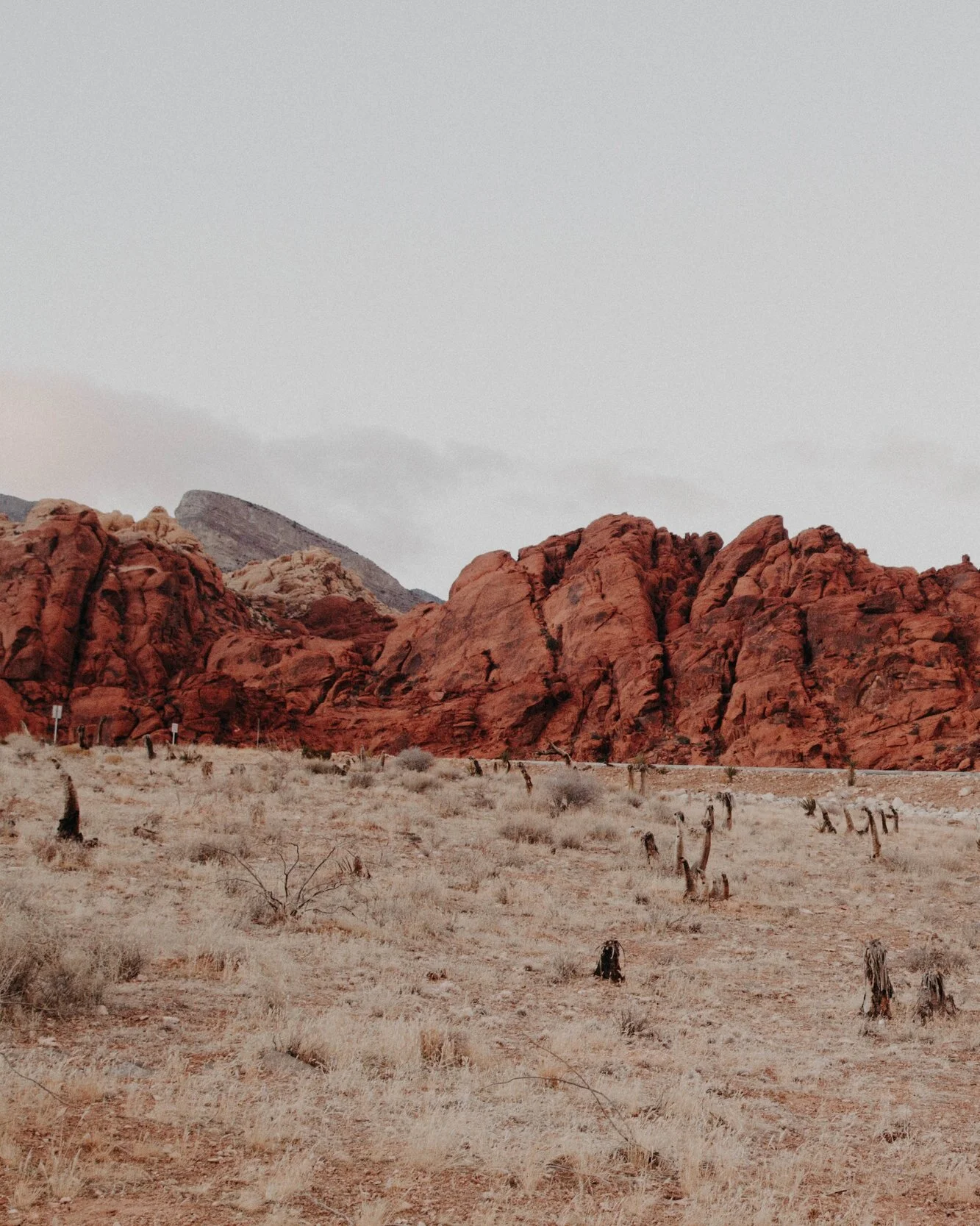 Hanging out in the wilderness