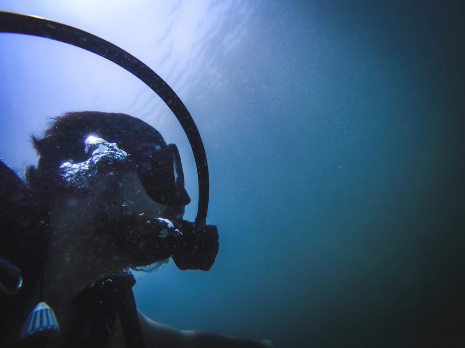 WIML GOES 20,000 LEAGUES UNDER THE SEA