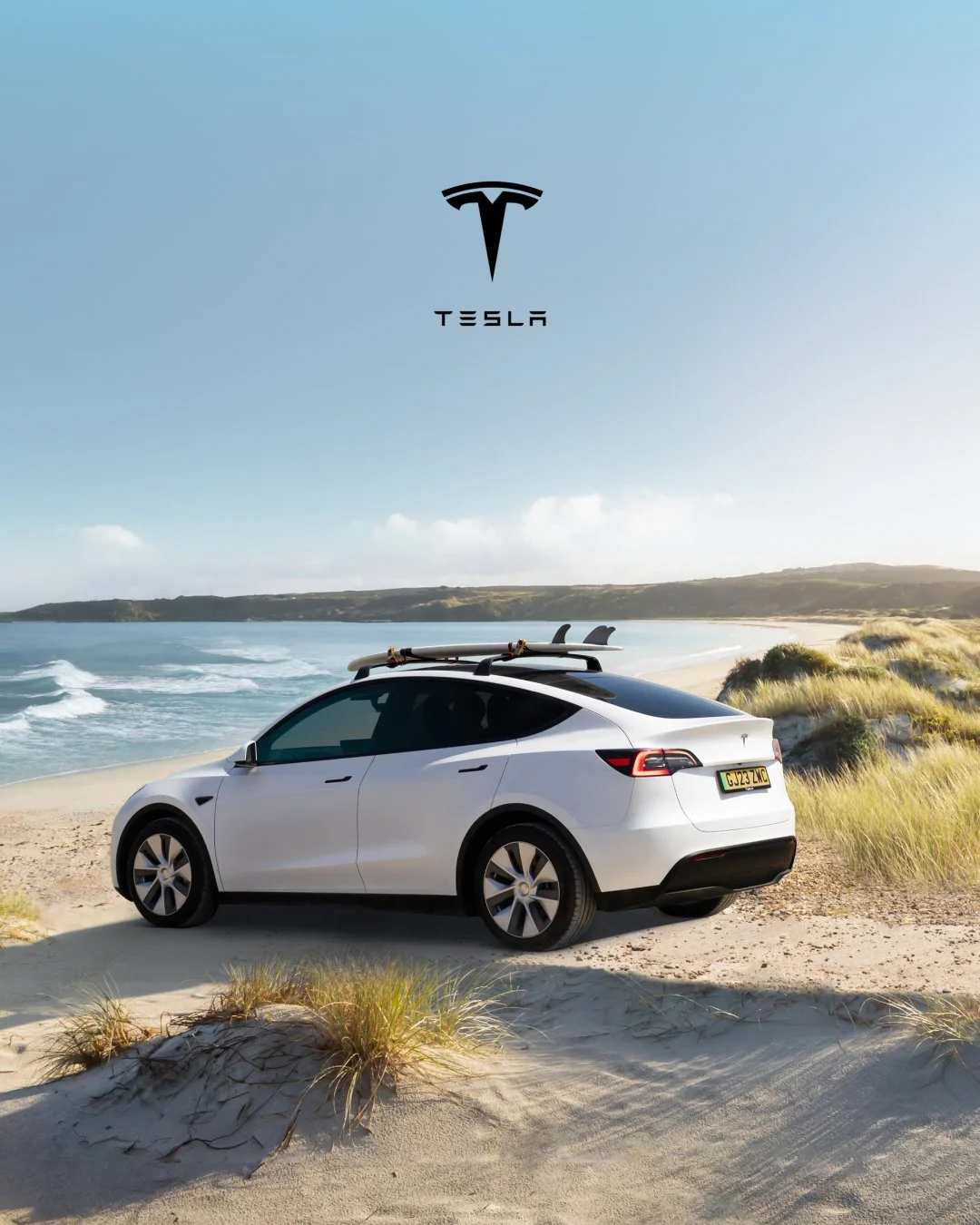 TEsla.jpg
