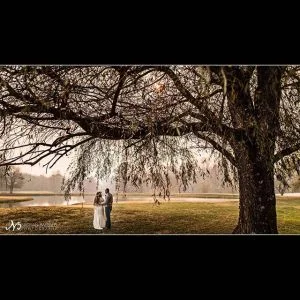 foggy morning under a willow- Hayesville, NC
