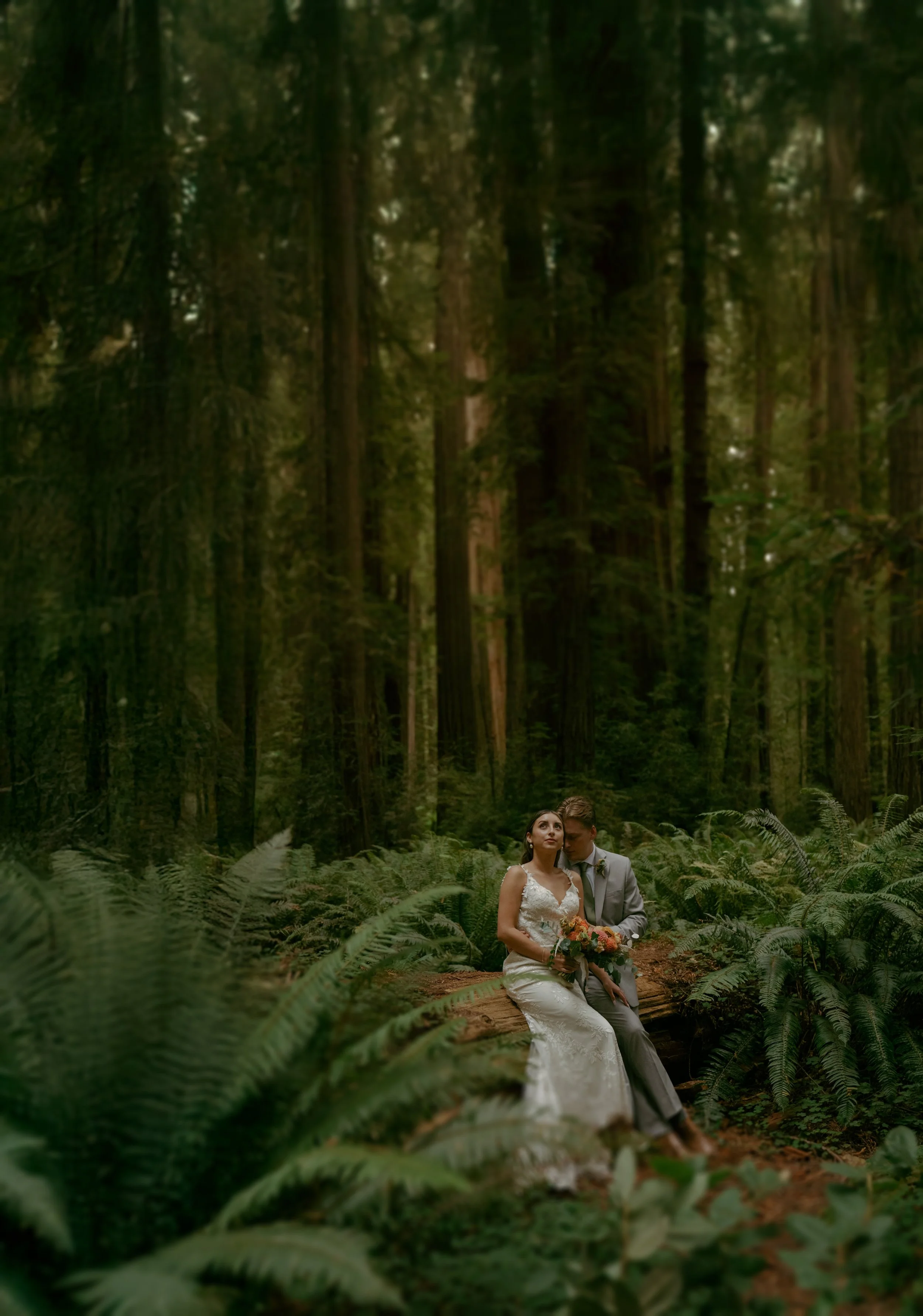 red-woods-wedding-photographer.jpg