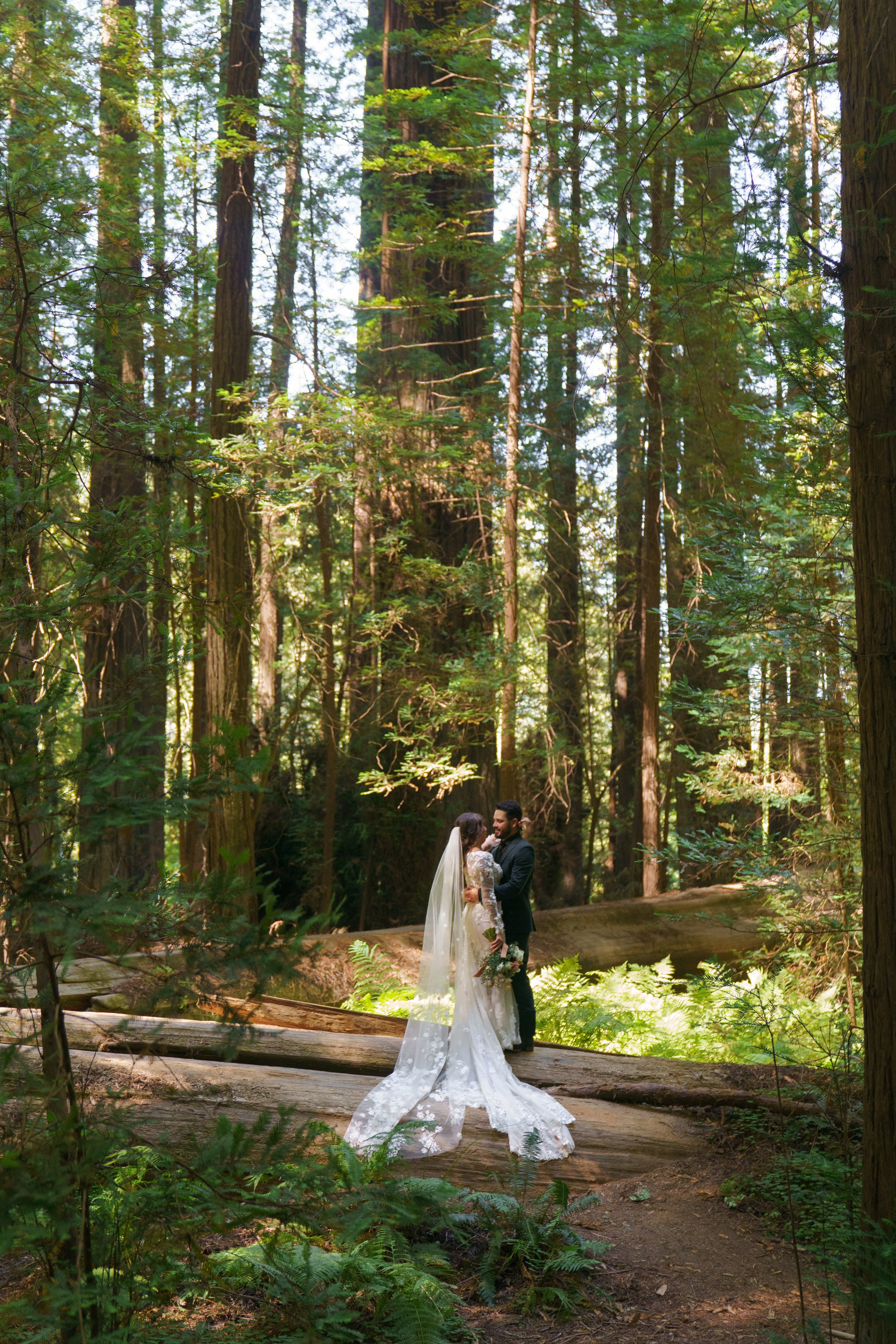 REDWOODS-WEDDING-SNEAK-PEEKS--60.jpg