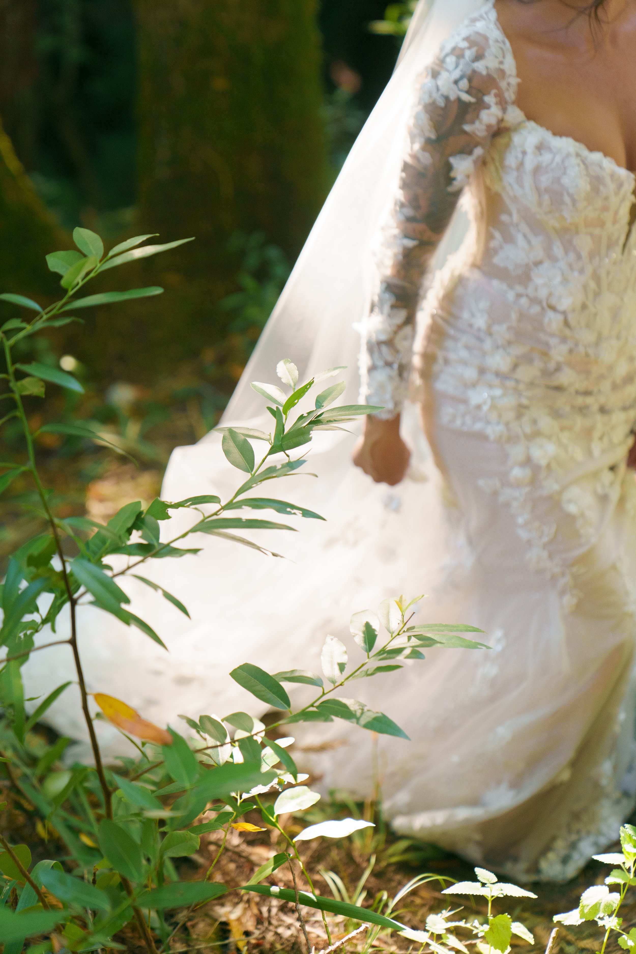 REDWOODS-WEDDING-SNEAK-PEEKS--115.jpg