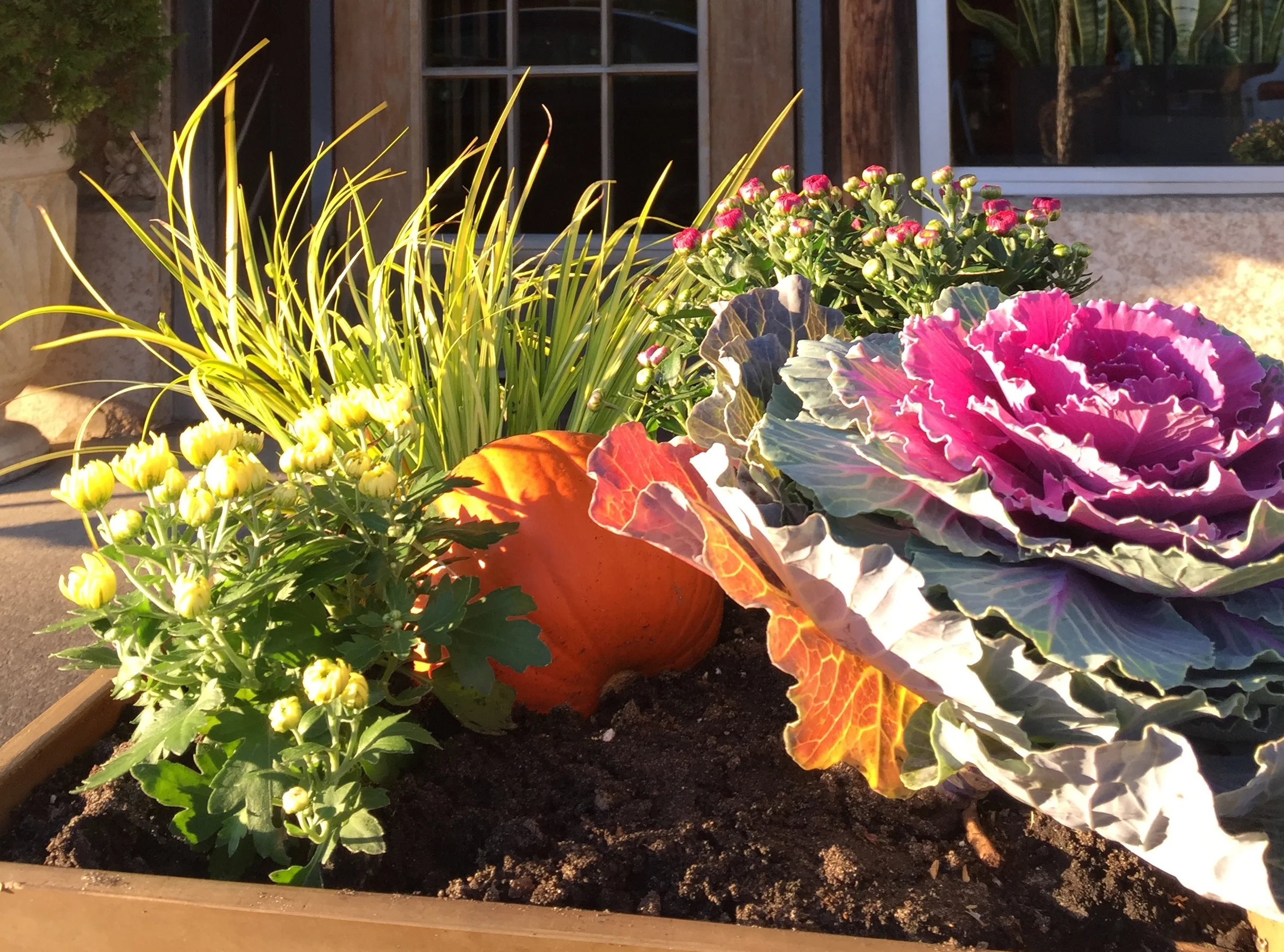 Fall Planter Very Close Up.jpg