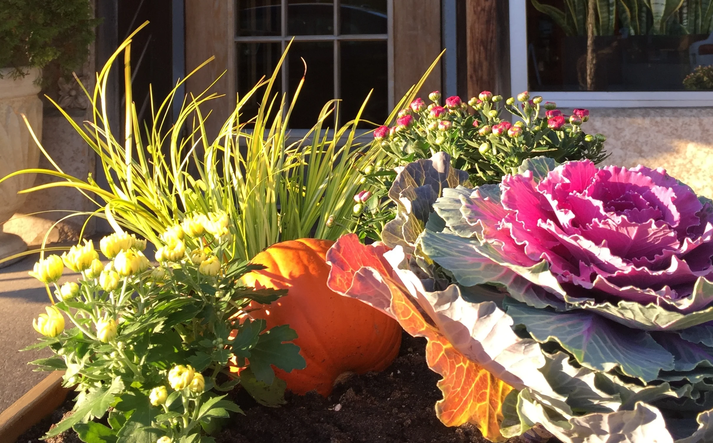 Fall Planter Very Close Up.jpg