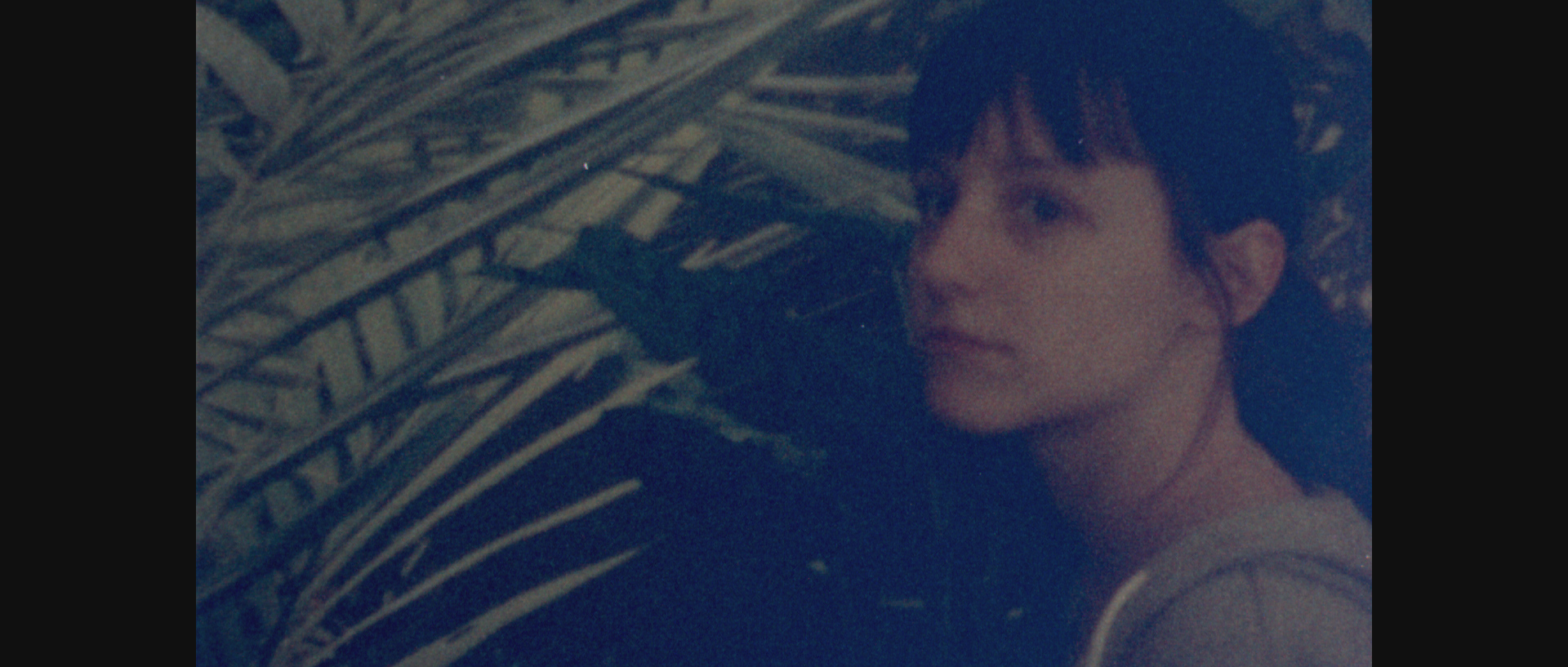 Still from ‘PLANT.MOV’