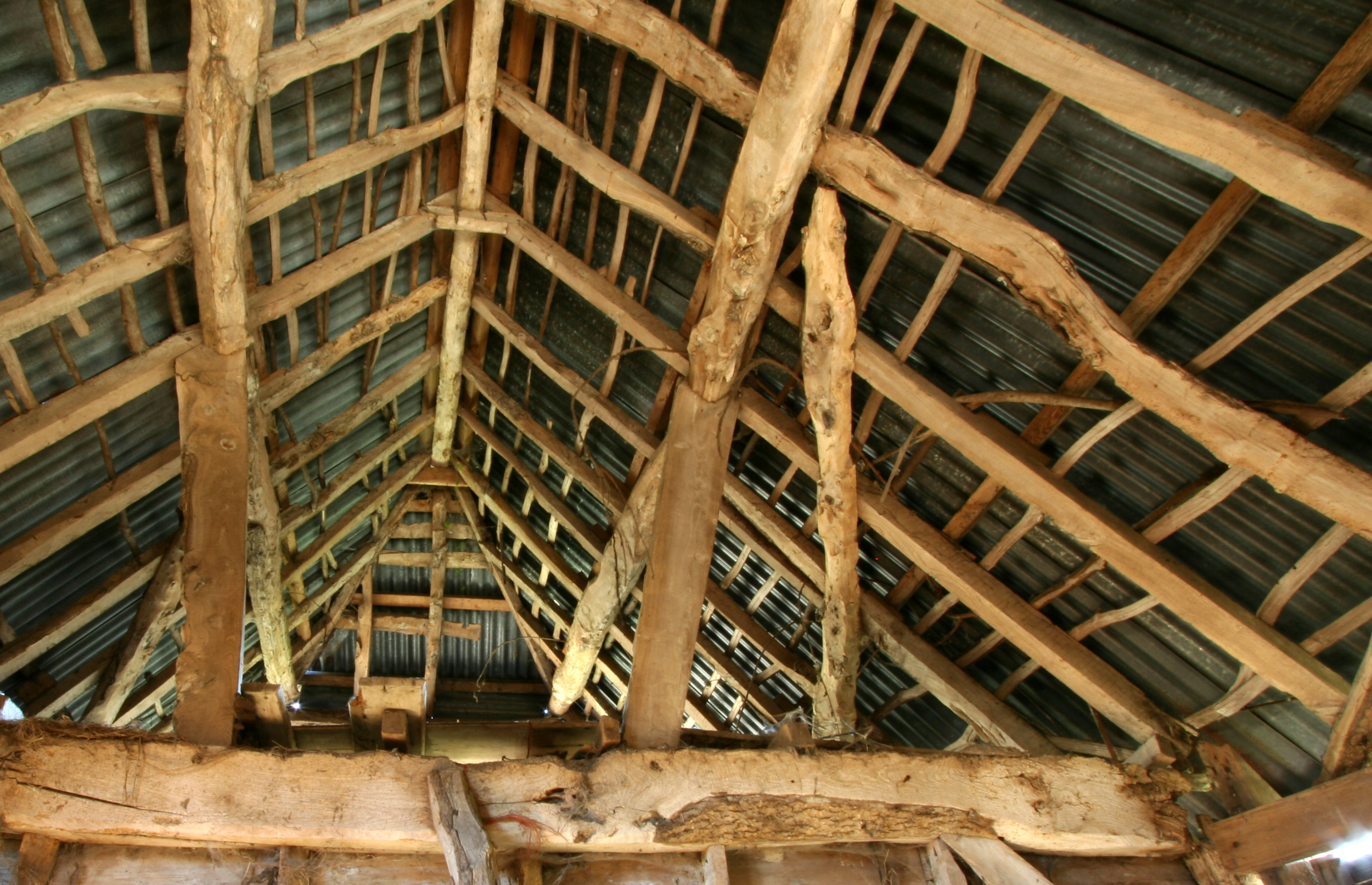 Albion Archaeology project. Roof of timber-framed barn, Buckinghamshire, December 2015