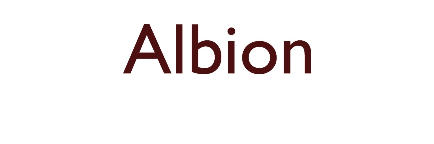 Albion Archaeology