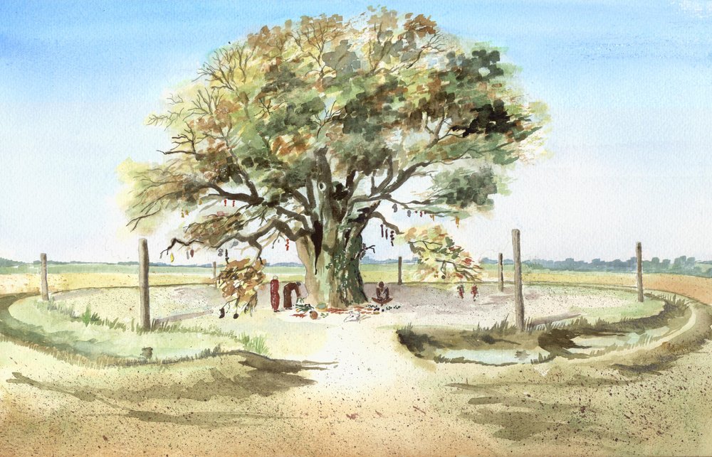 Early Prehistoric Sites — Albion Archaeology