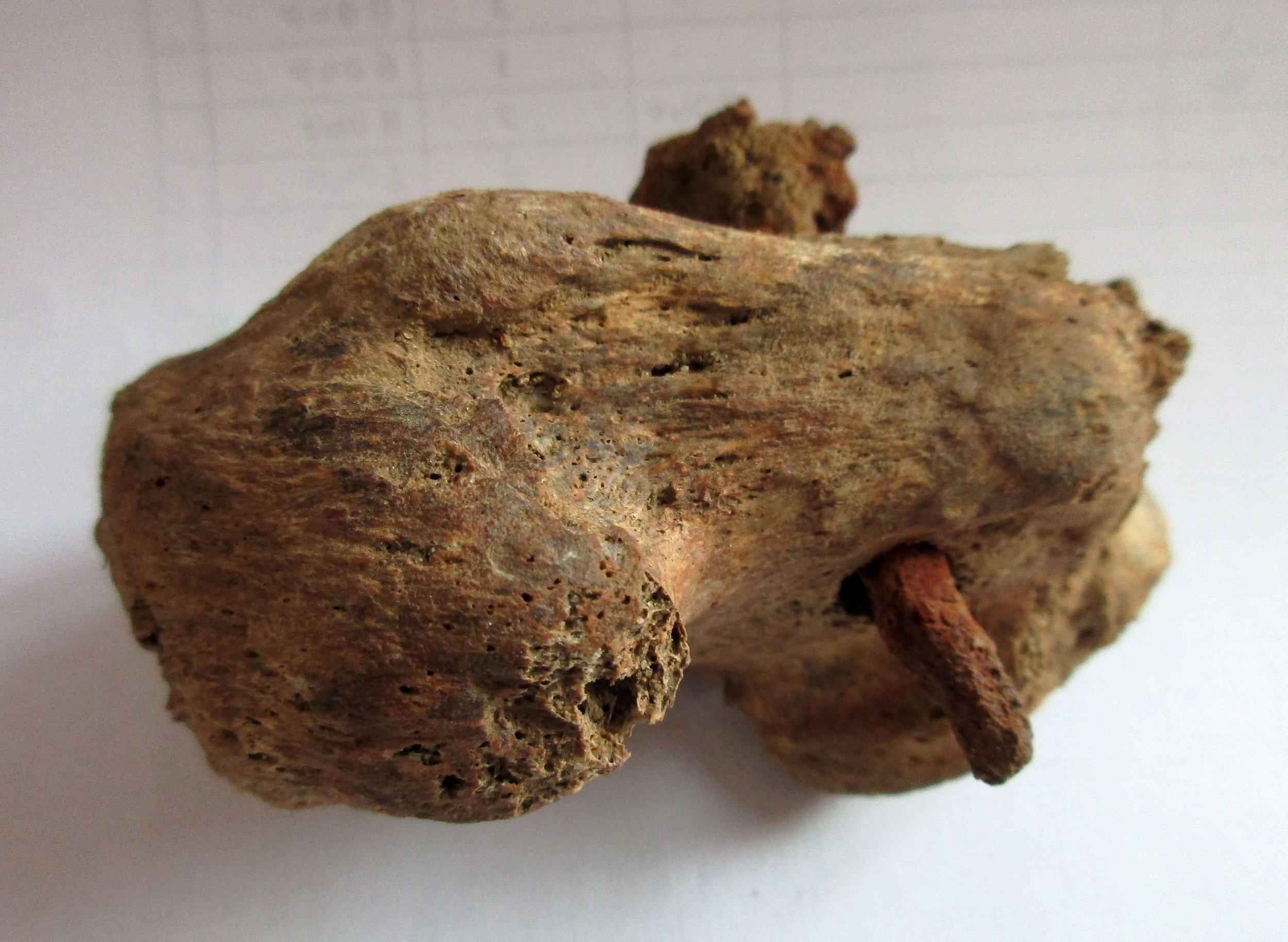 The Cambridgeshire Crucifixion: Albion Archaeology on TV and in the British Museum