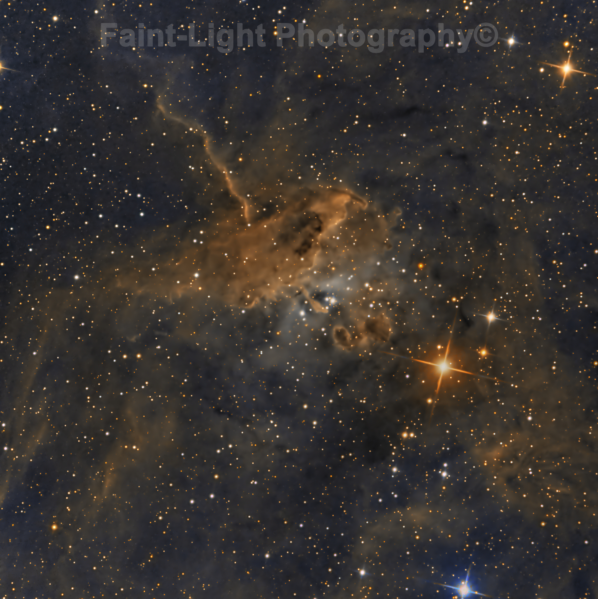 IC 417 "Spider Nebula"