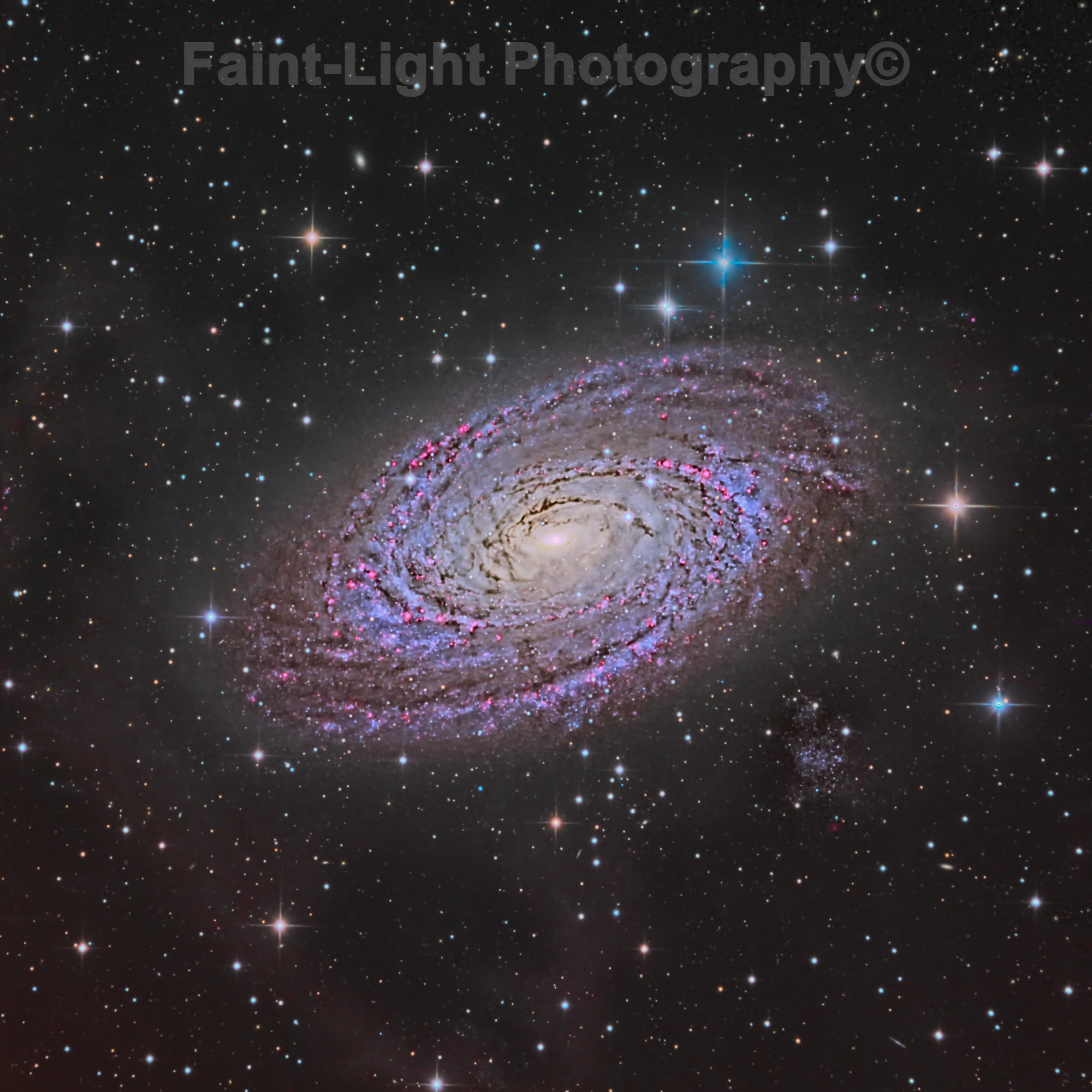 M 81 "Bode's Galaxy"