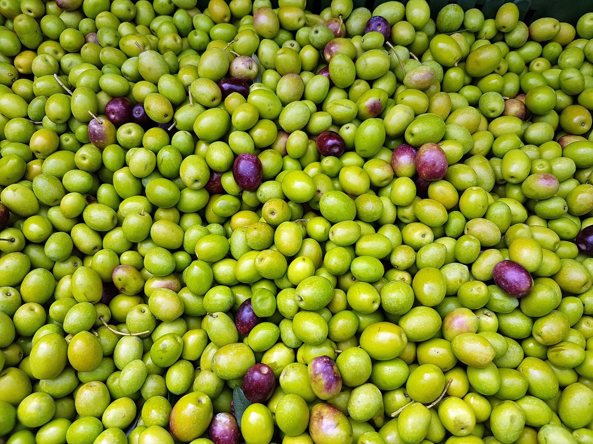 green olives-2167822_1920 (1).jpg