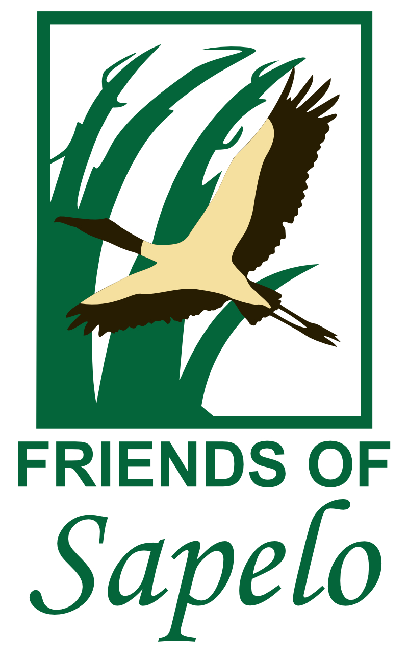 Friends of Sapelo