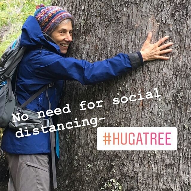 Time to #hugatree. 
#nature #nocost #notcancelled #deepbreaths