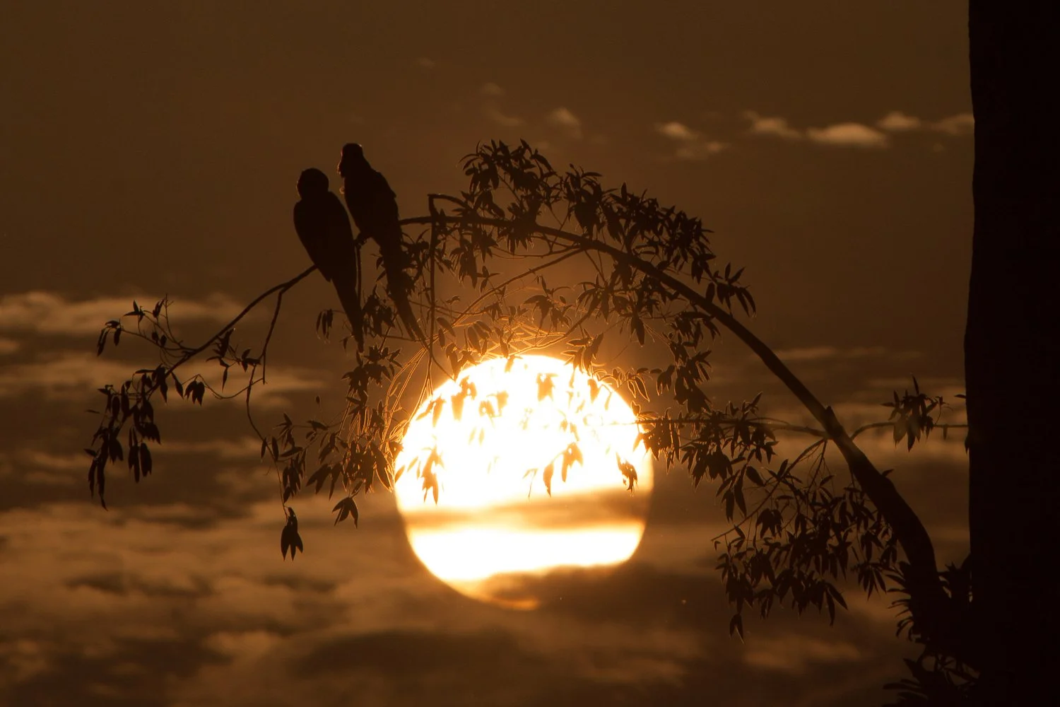 Tips 506: How many places should I visit on my trip to Costa Rica?