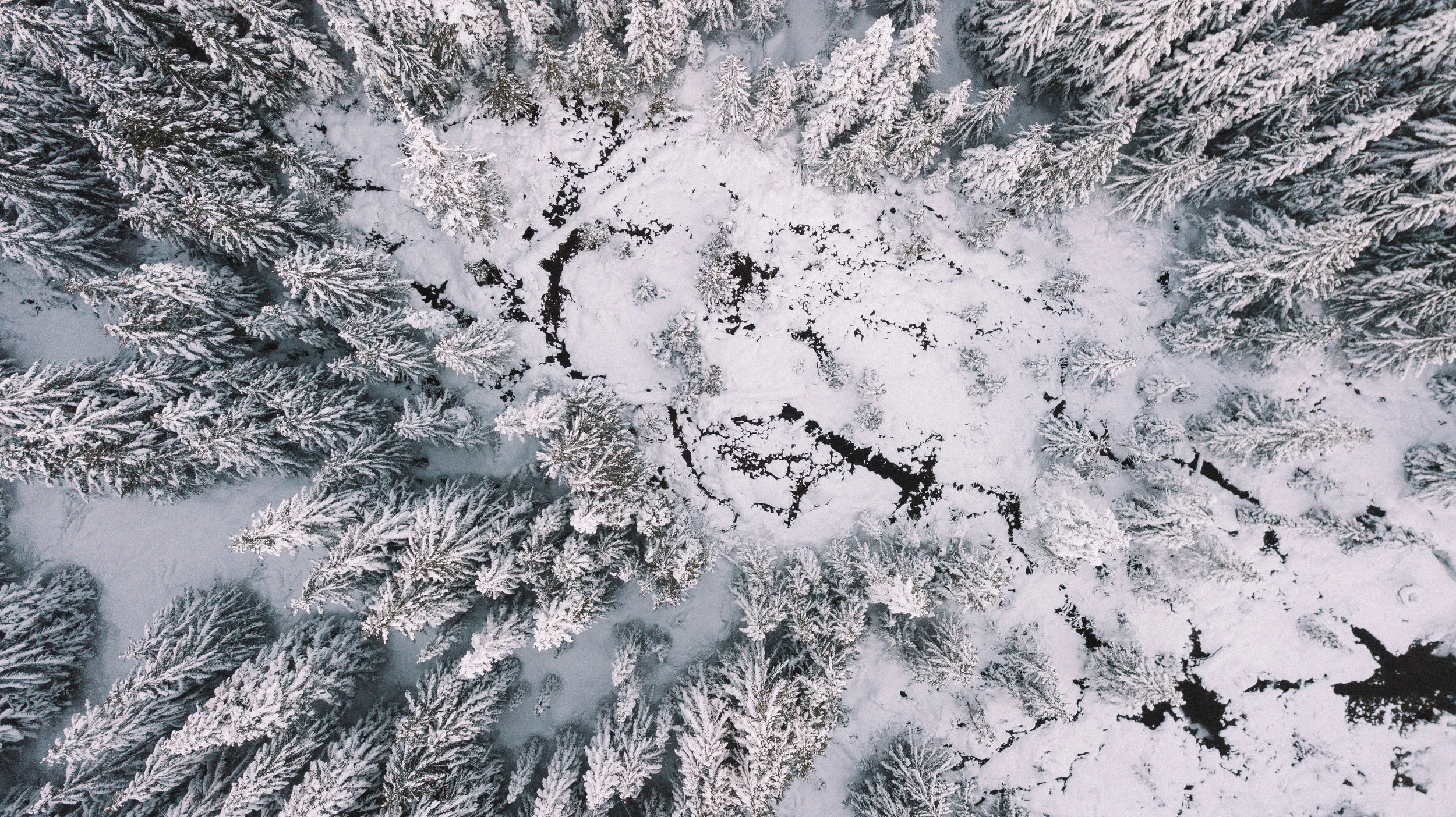 DJI_0101.jpg