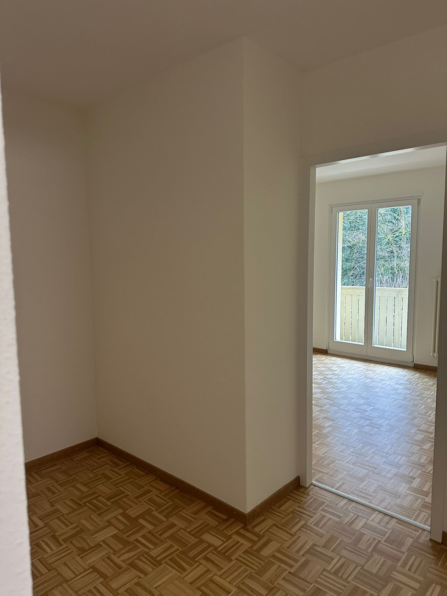 260203_11-20-55 2.jpeg