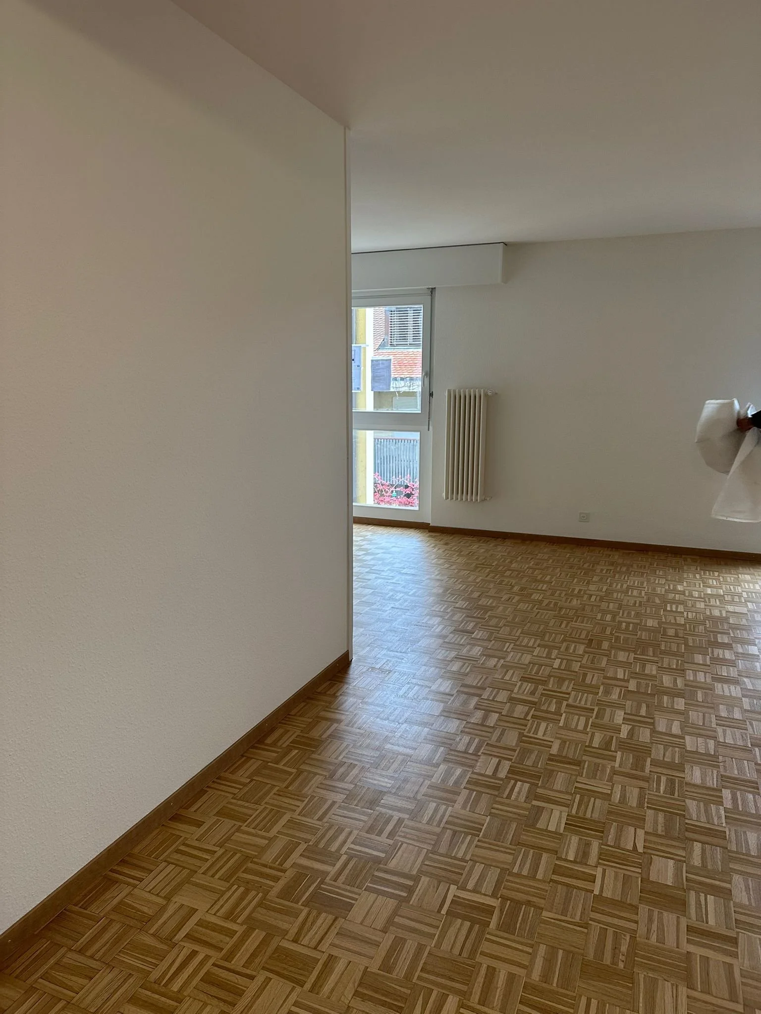 260203_11-20-56 3.jpeg