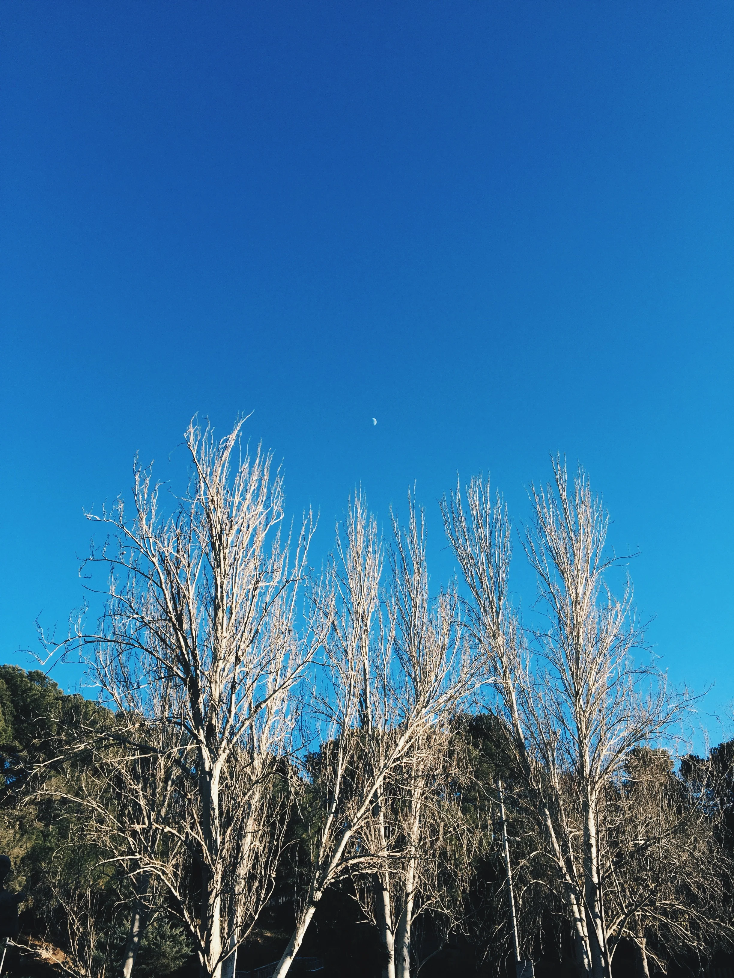 Updated: Friday Night / Sunday Morning Playlist