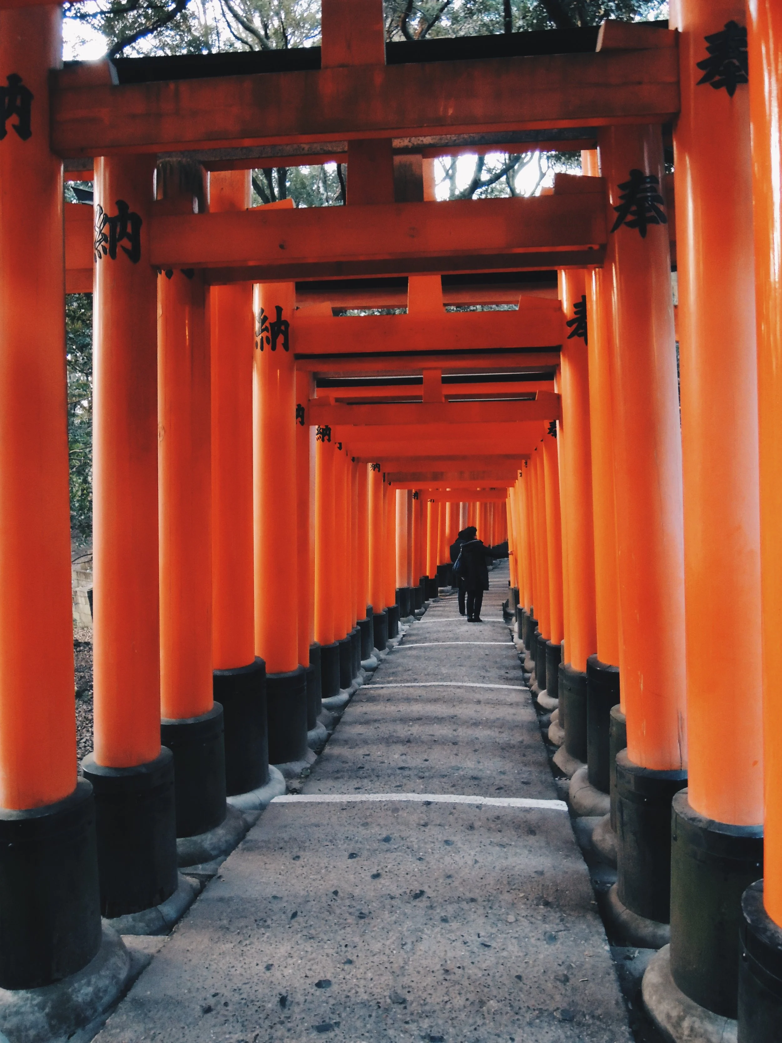 Stories from the Road: Kyoto’s Fushimi-Inari Shrine Was Enchanting Until Night Fell